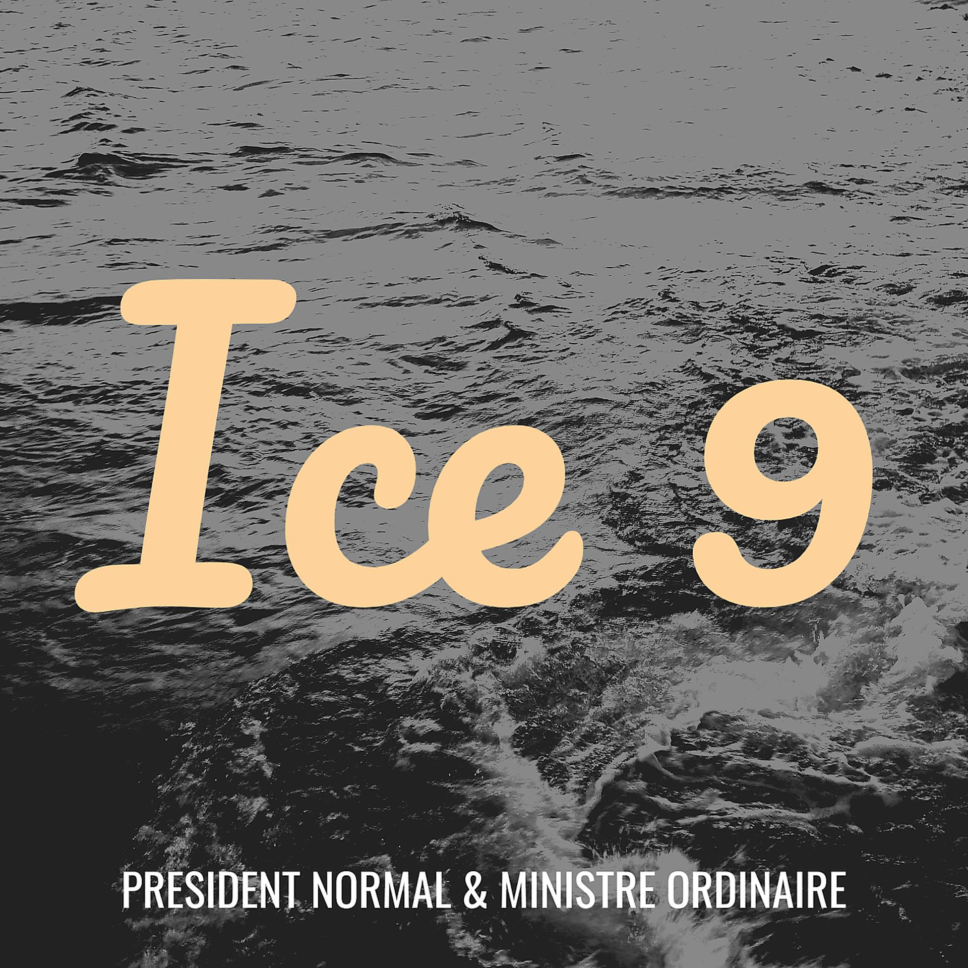 Постер альбома Ice 9