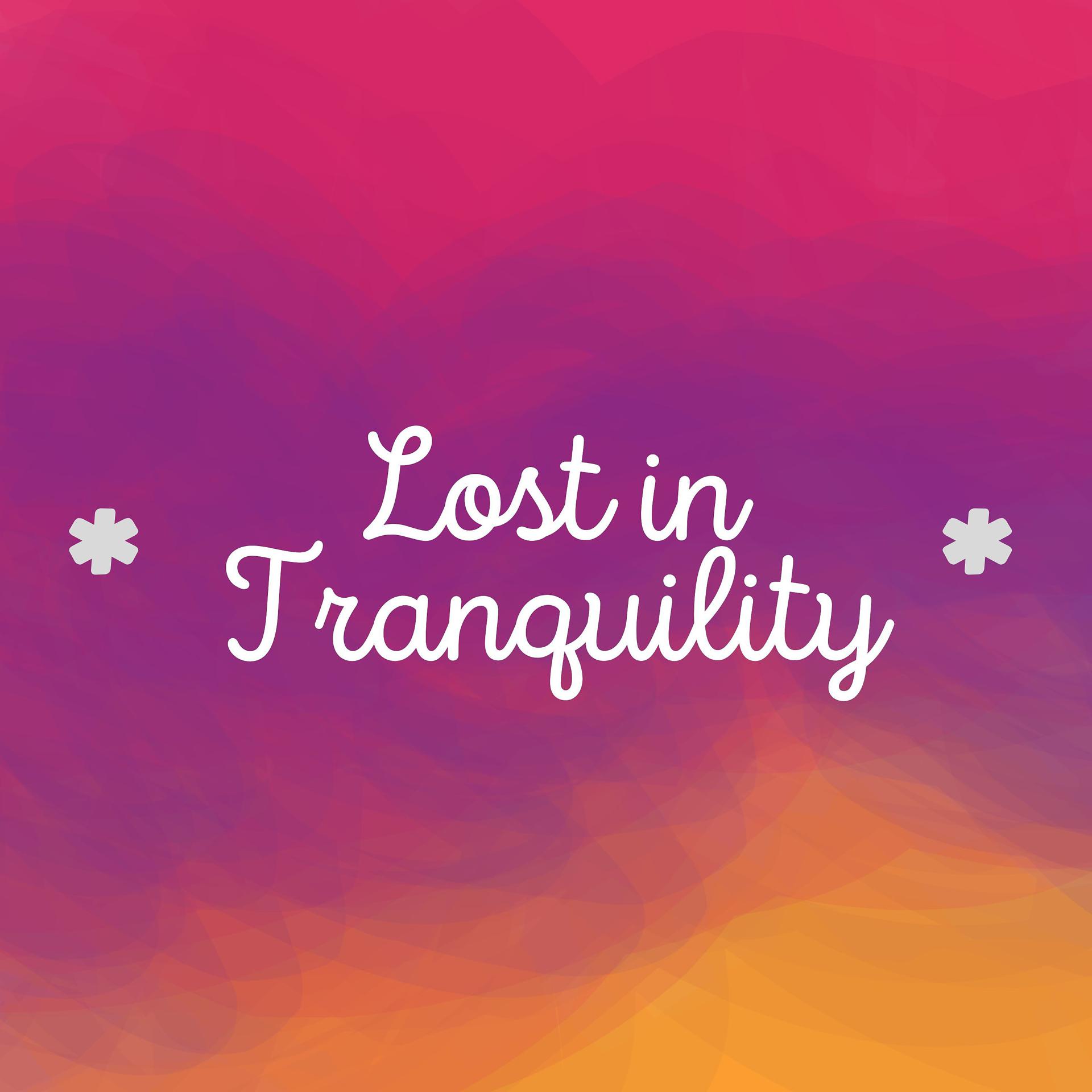 Постер альбома * Lost in Tranquility *