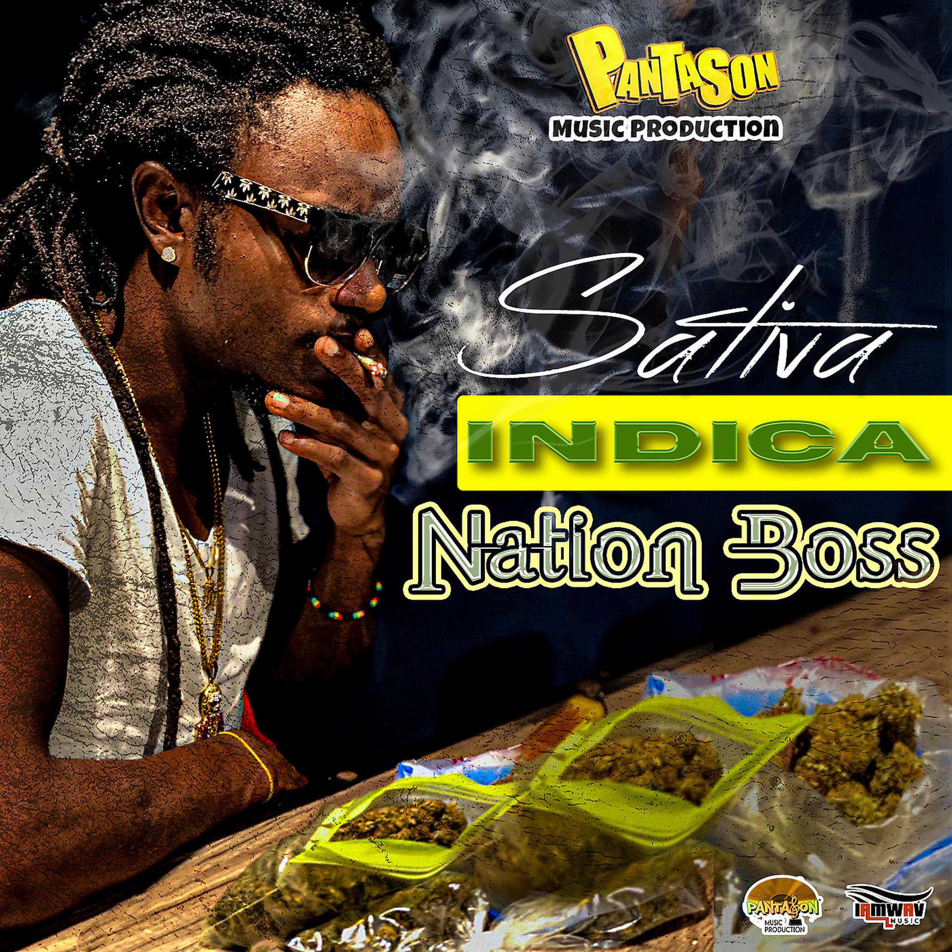 Постер альбома Sativa Indica