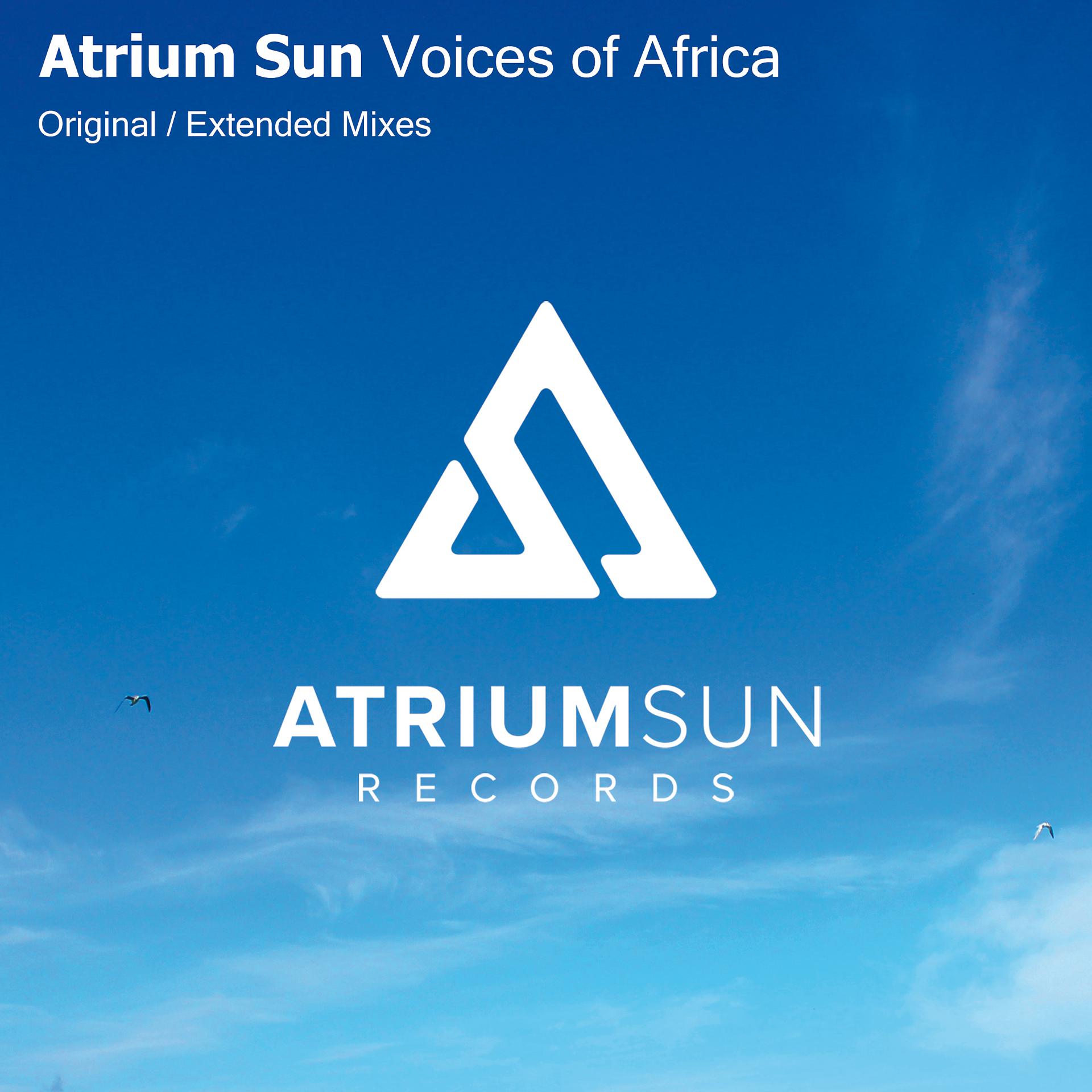 Постер альбома Voices of Africa