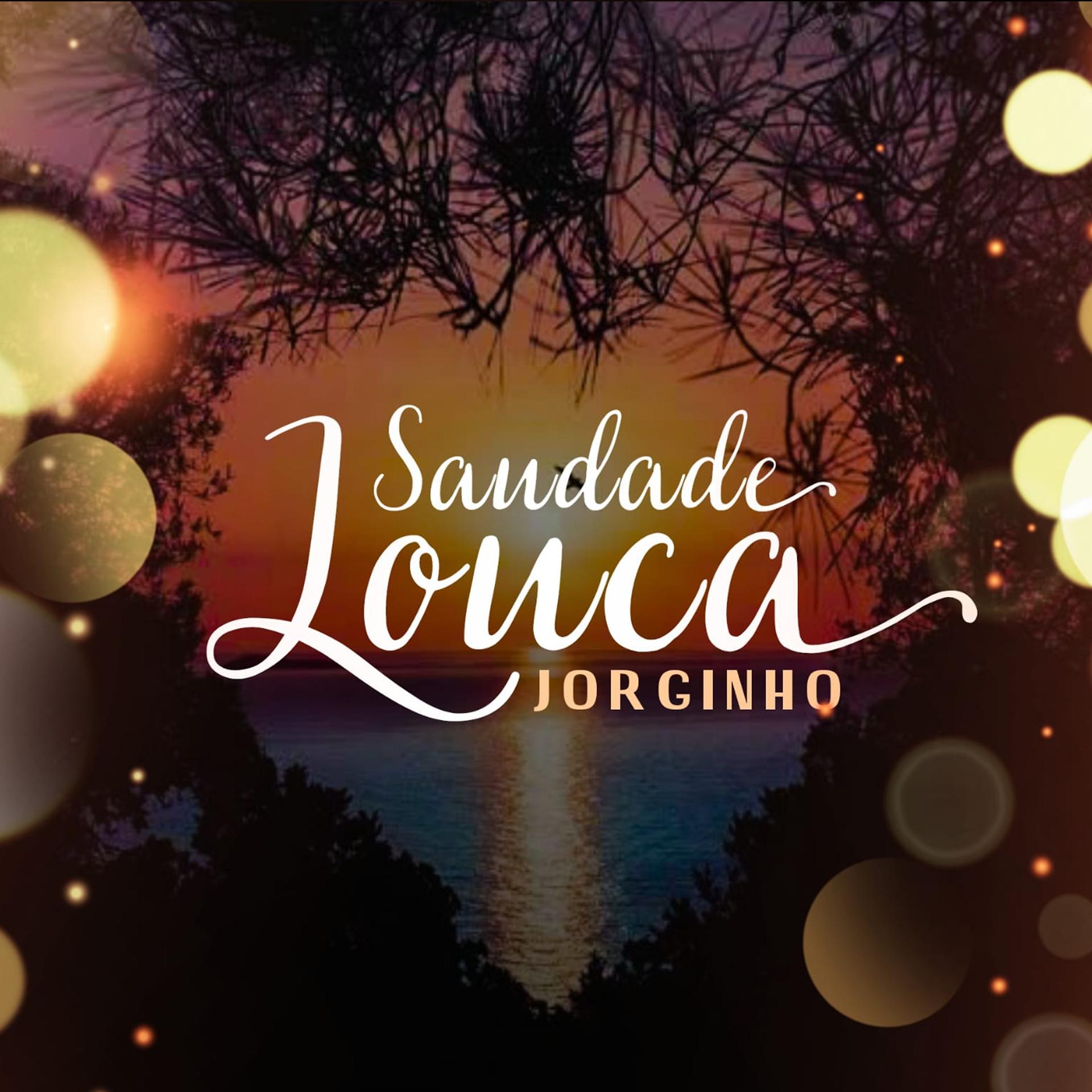 Постер альбома Saudade Louca