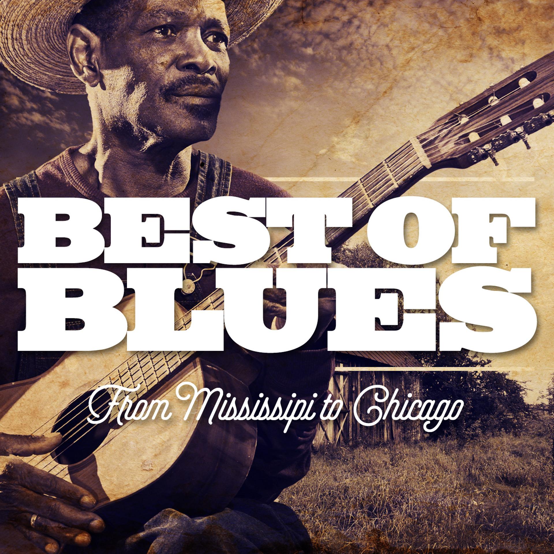 Постер альбома Best of Blues - From Mississipi to Chicago