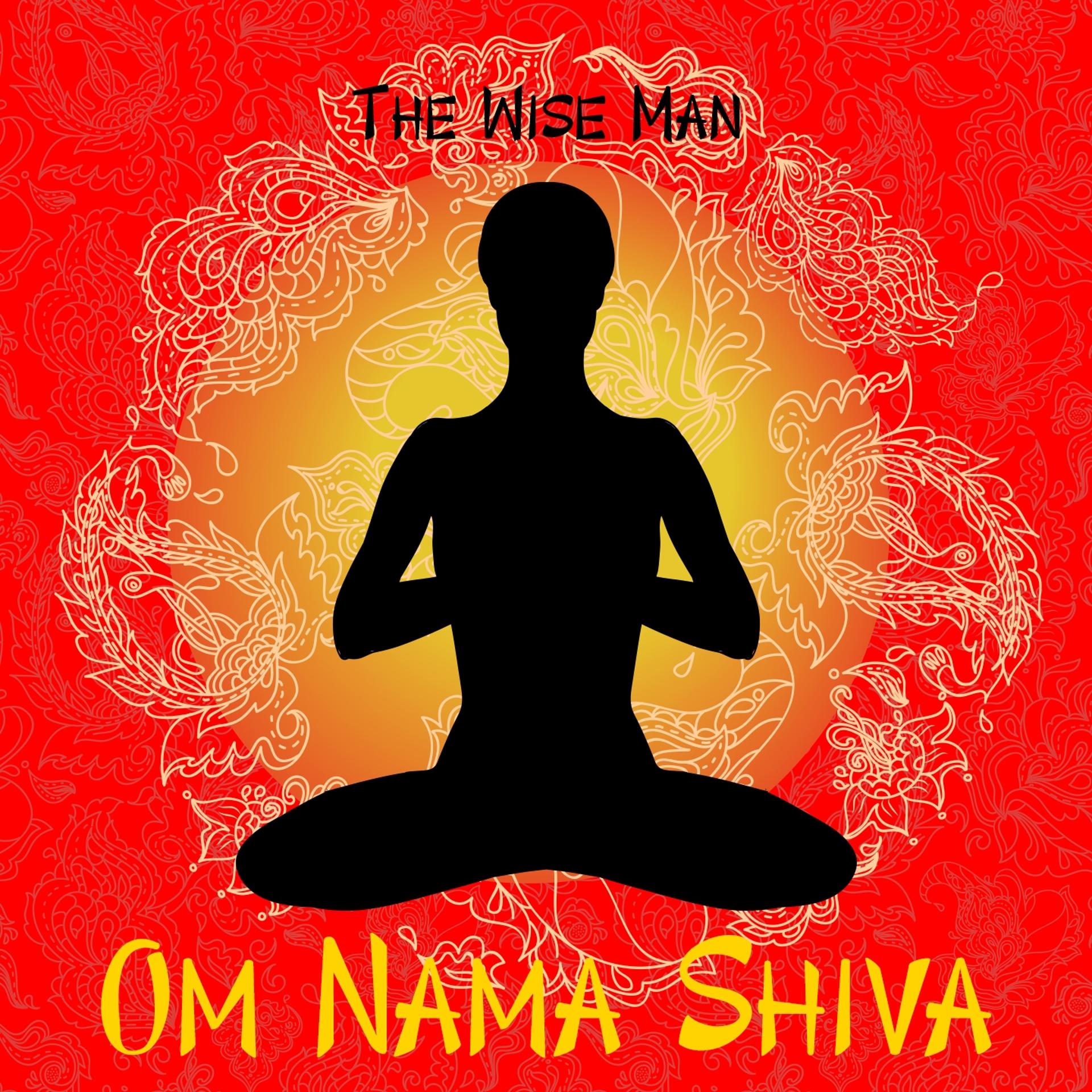 Постер альбома Om Nama Shiva