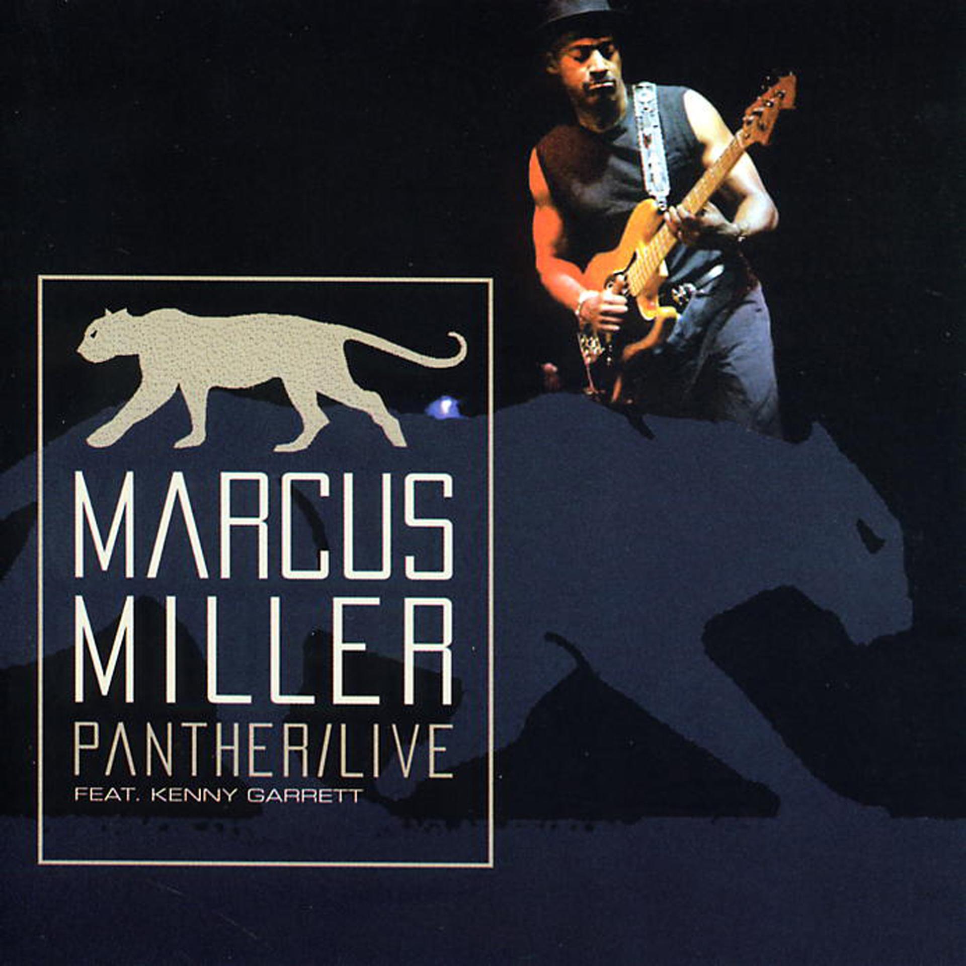 Постер альбома Panther (Live)