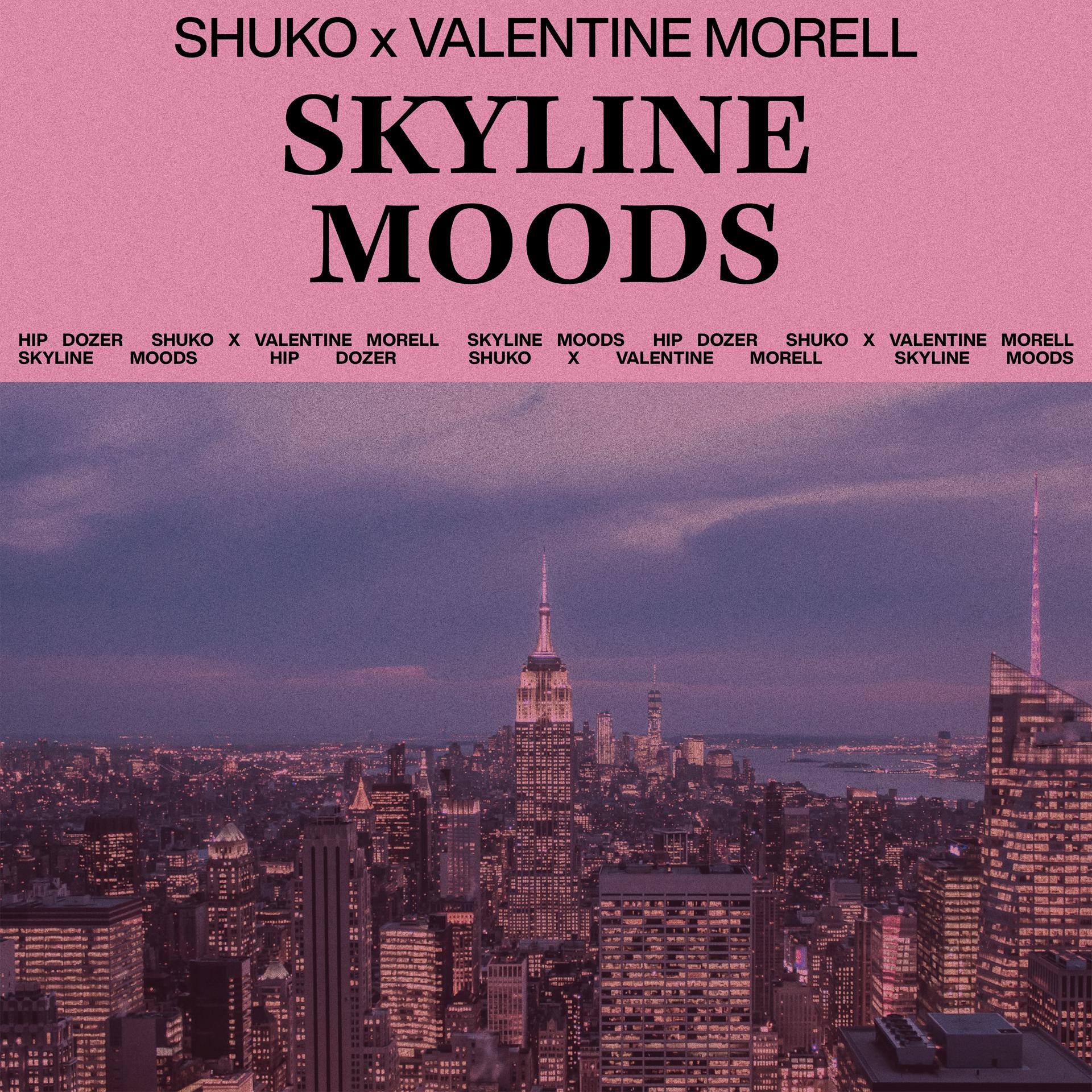 Постер альбома Skyline Moods