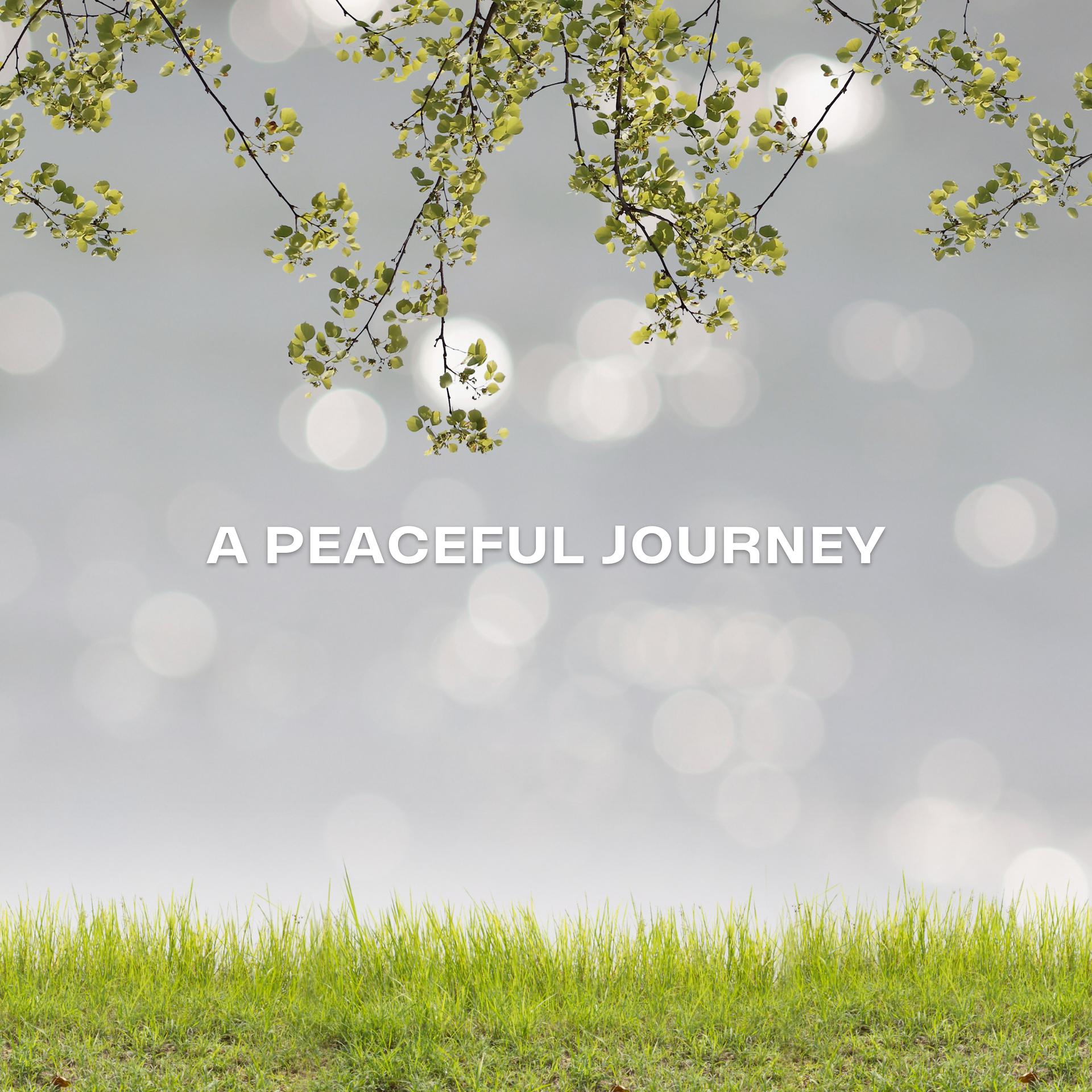 Постер альбома A Peaceful Journey