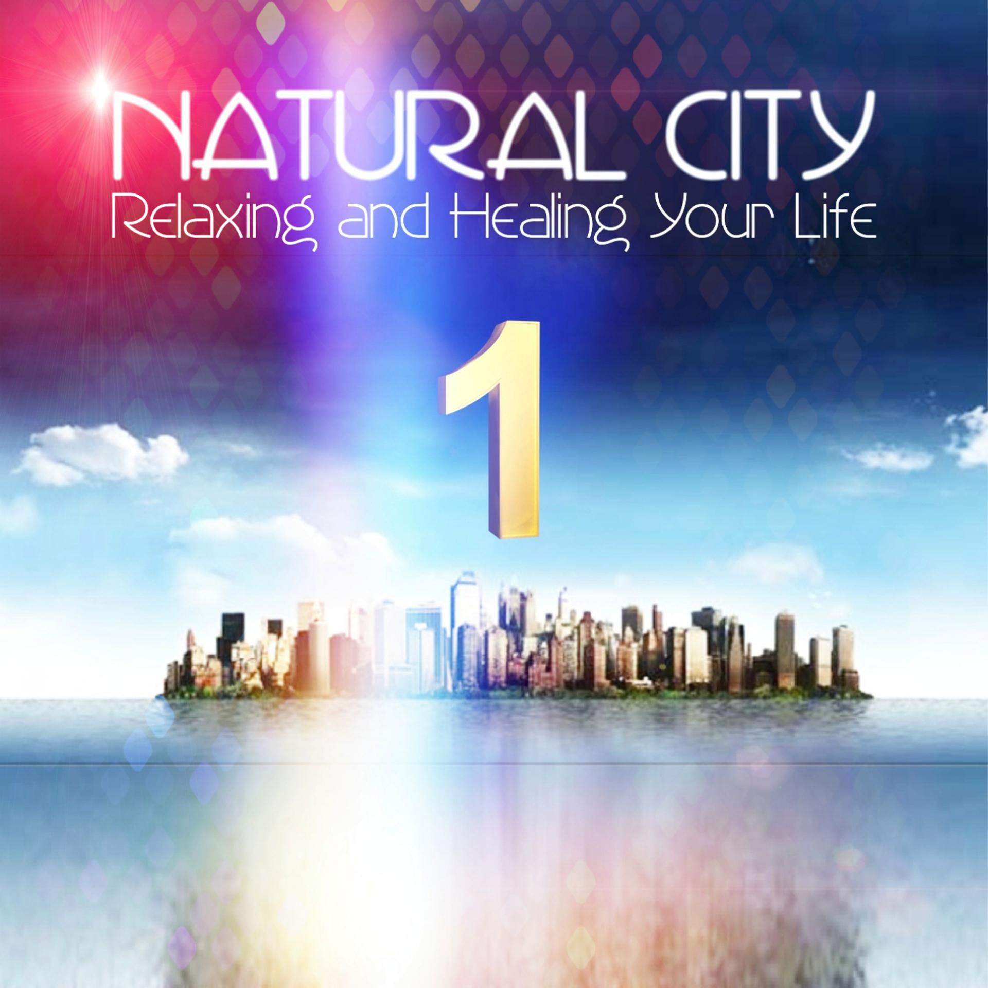 Постер альбома Natural City, Vol. 1