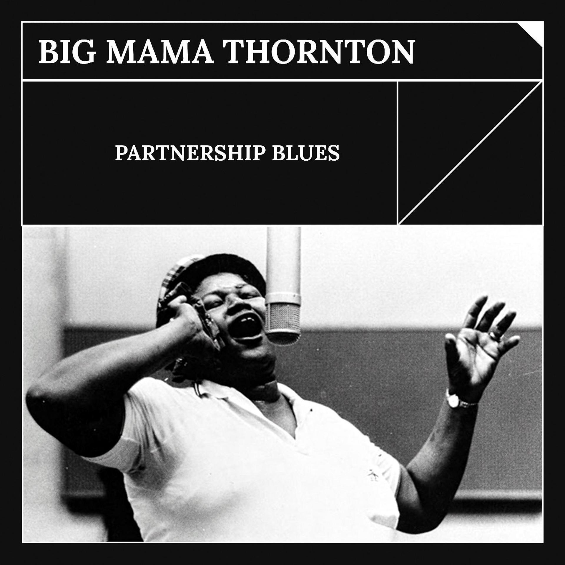 Постер альбома Partnership Blues
