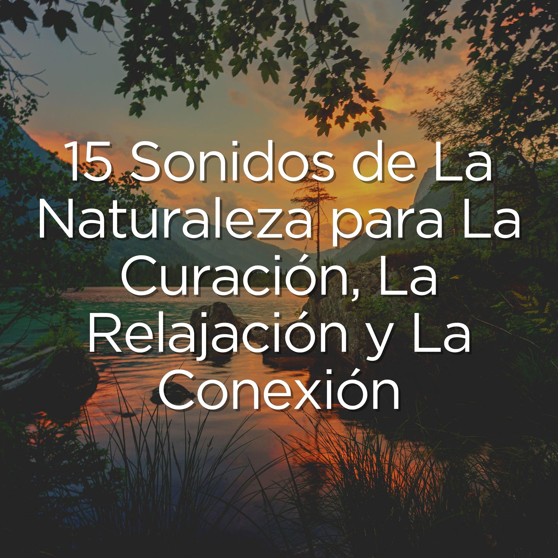 Постер альбома 15 Sonidos de La Naturaleza para La Curación, La Relajación y La Conexión