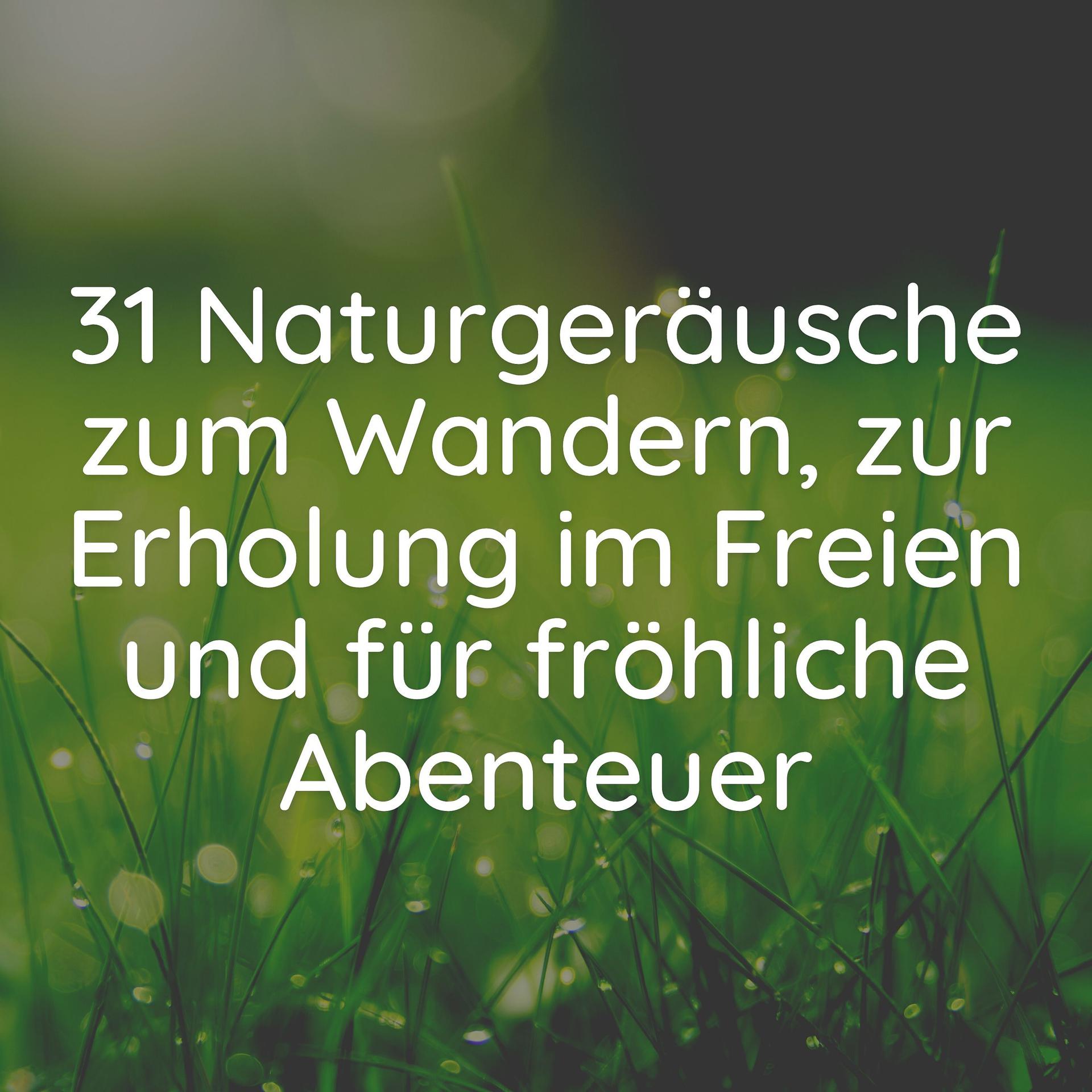 Постер альбома 31 Naturgeräusche zum Wandern, zur Erholung im Freien und für fröhliche Abenteuer