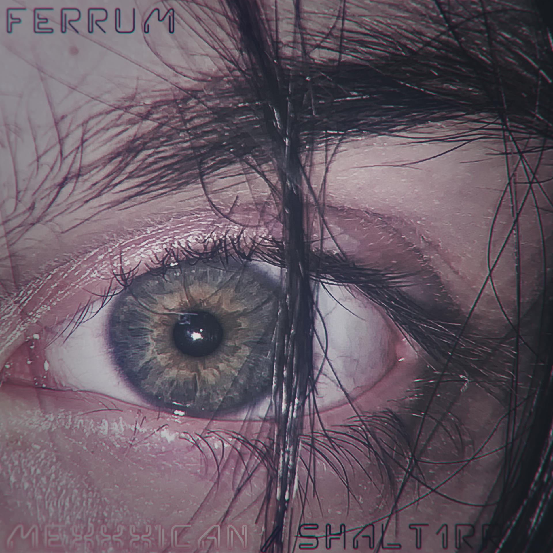 Постер альбома Ferrum