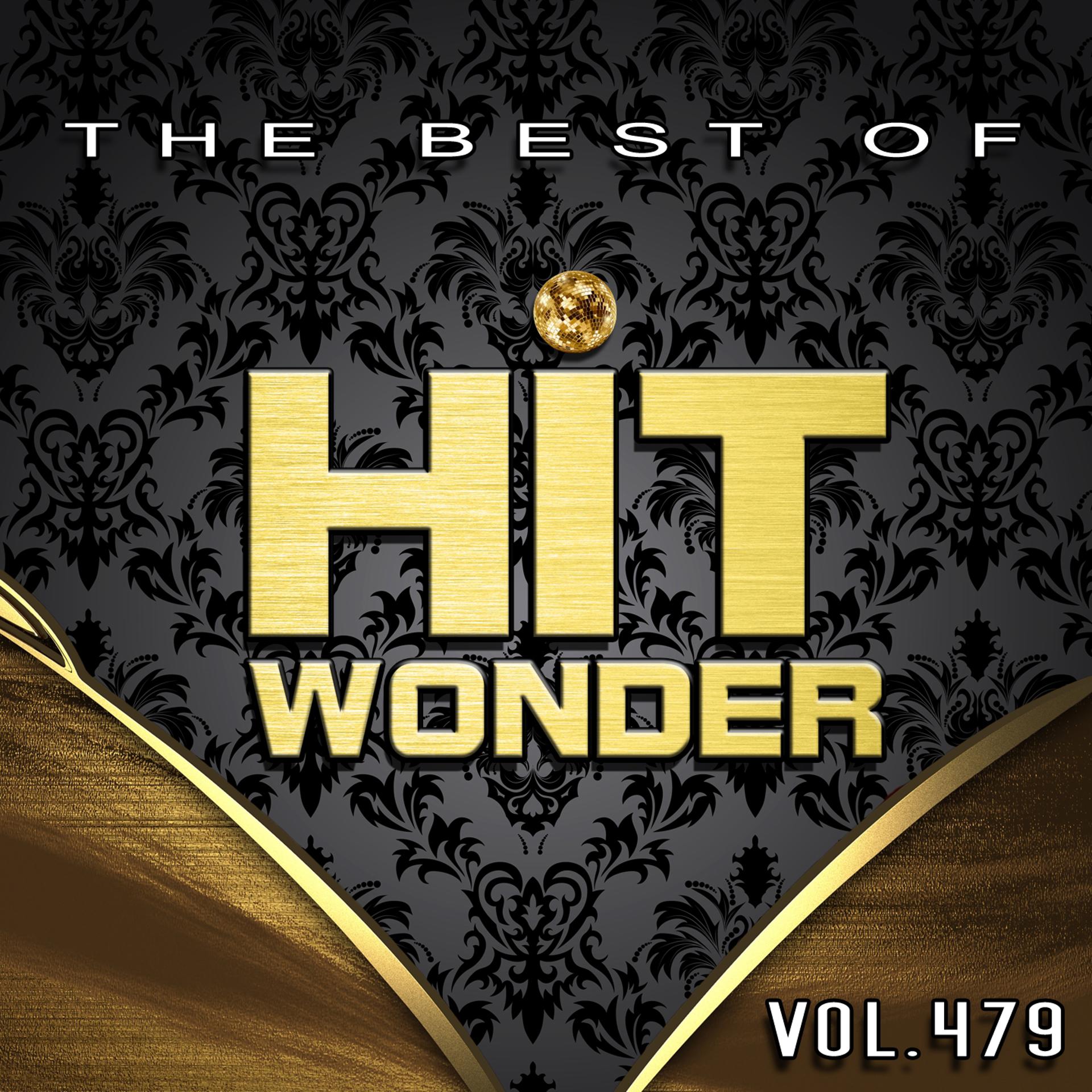 Постер альбома Hit Wonder: The Best of, Vol. 479