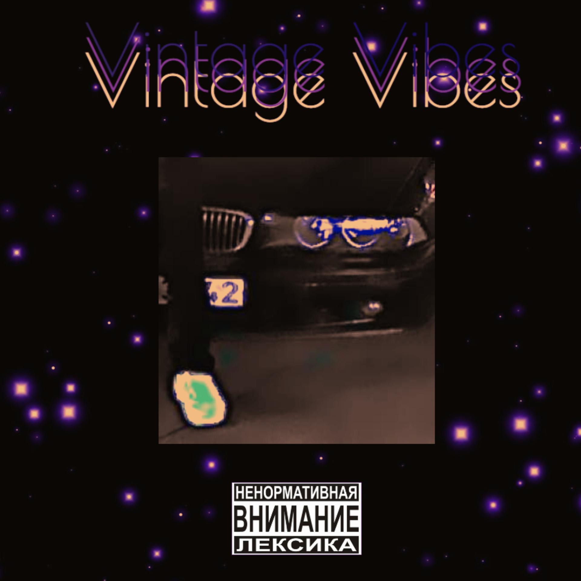 Постер альбома Vintage Vibes
