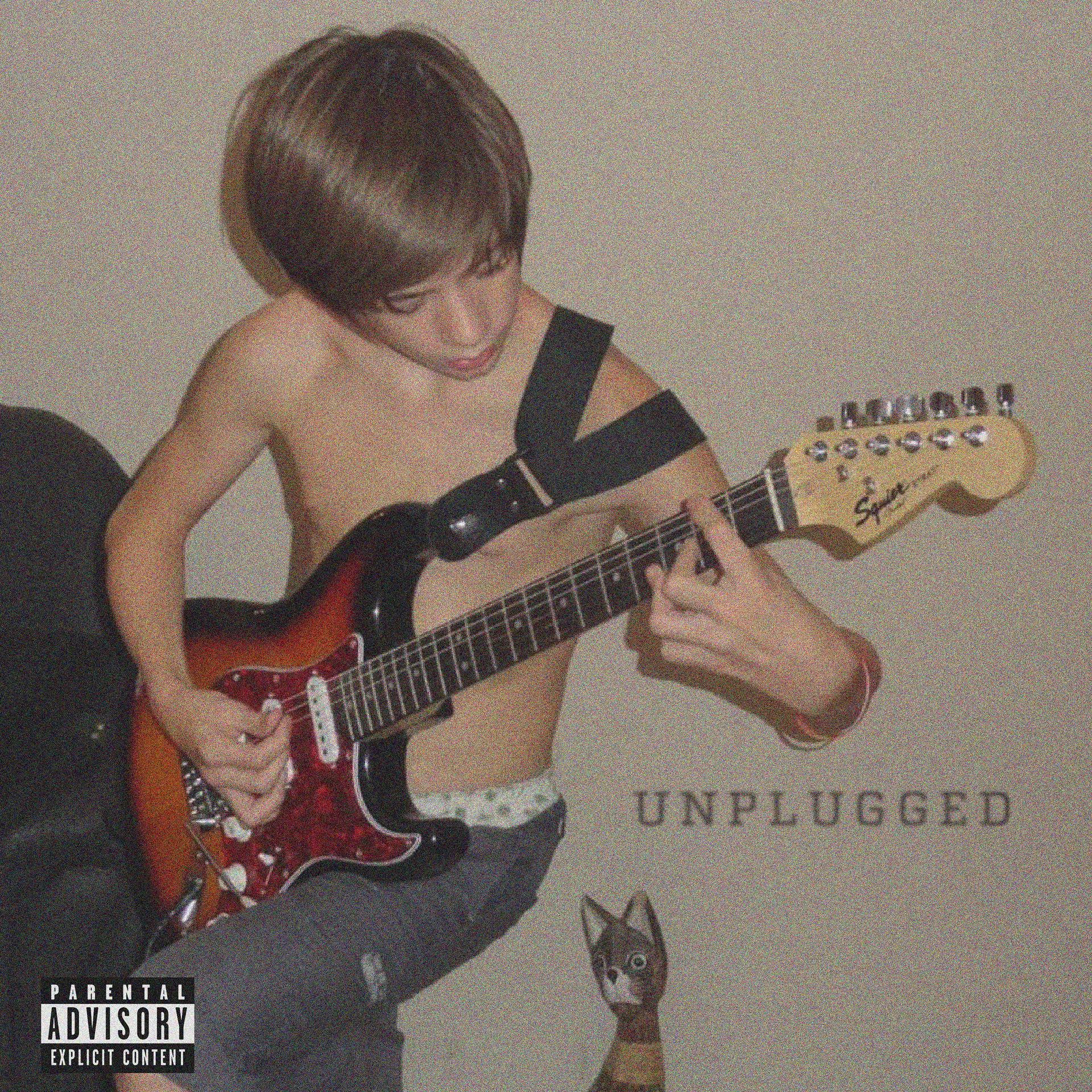 Постер альбома Unplugged