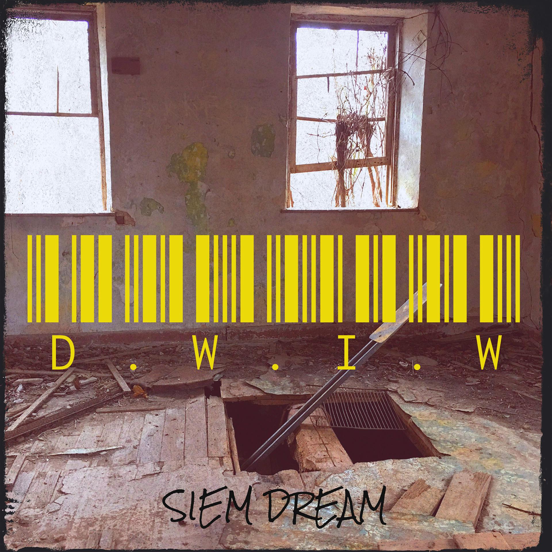 Постер альбома D.W.I.W