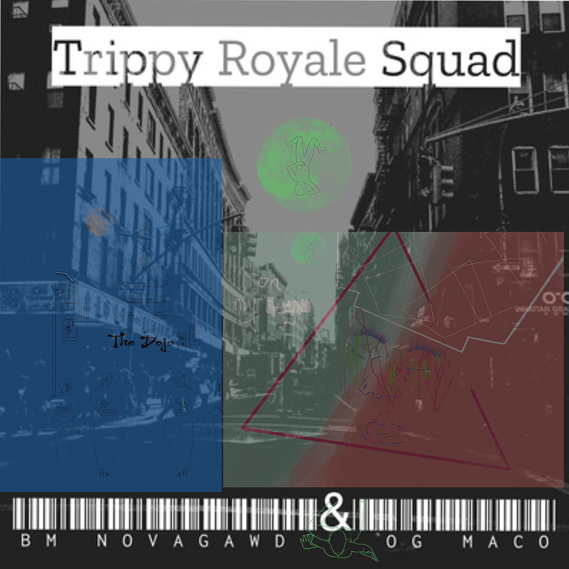 Постер альбома Trippy Royale Squad