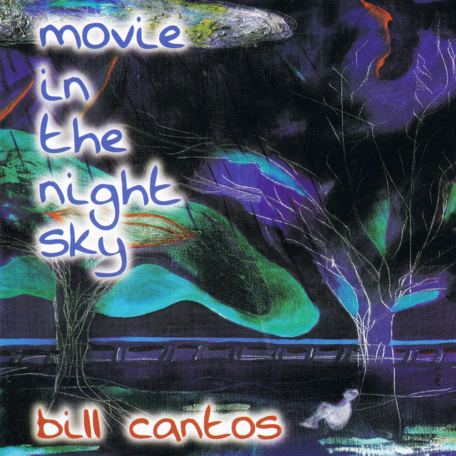 Постер альбома Movie in the Night Sky