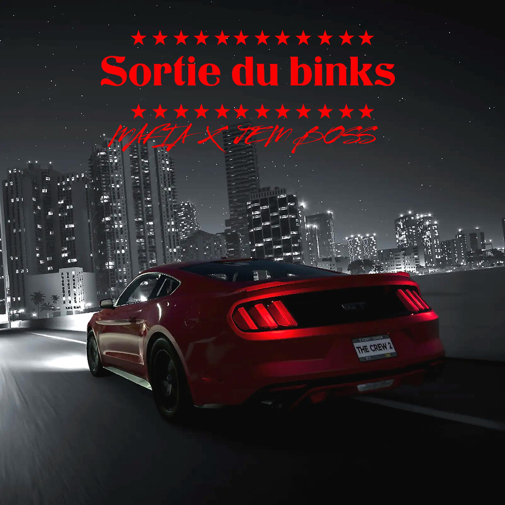 Постер альбома Sortie du binks