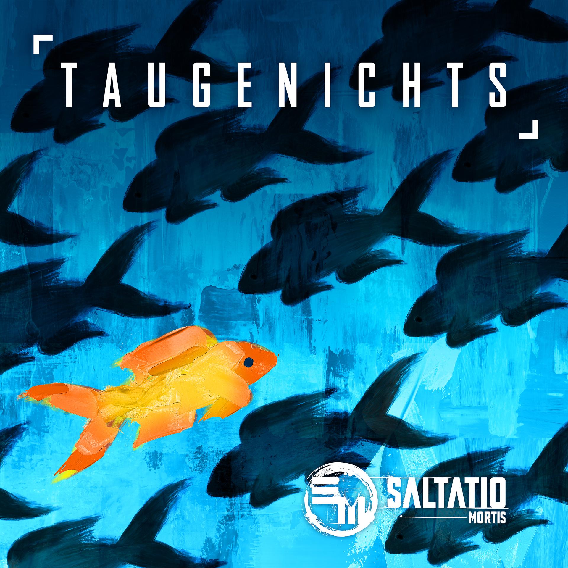 Постер альбома Taugenichts