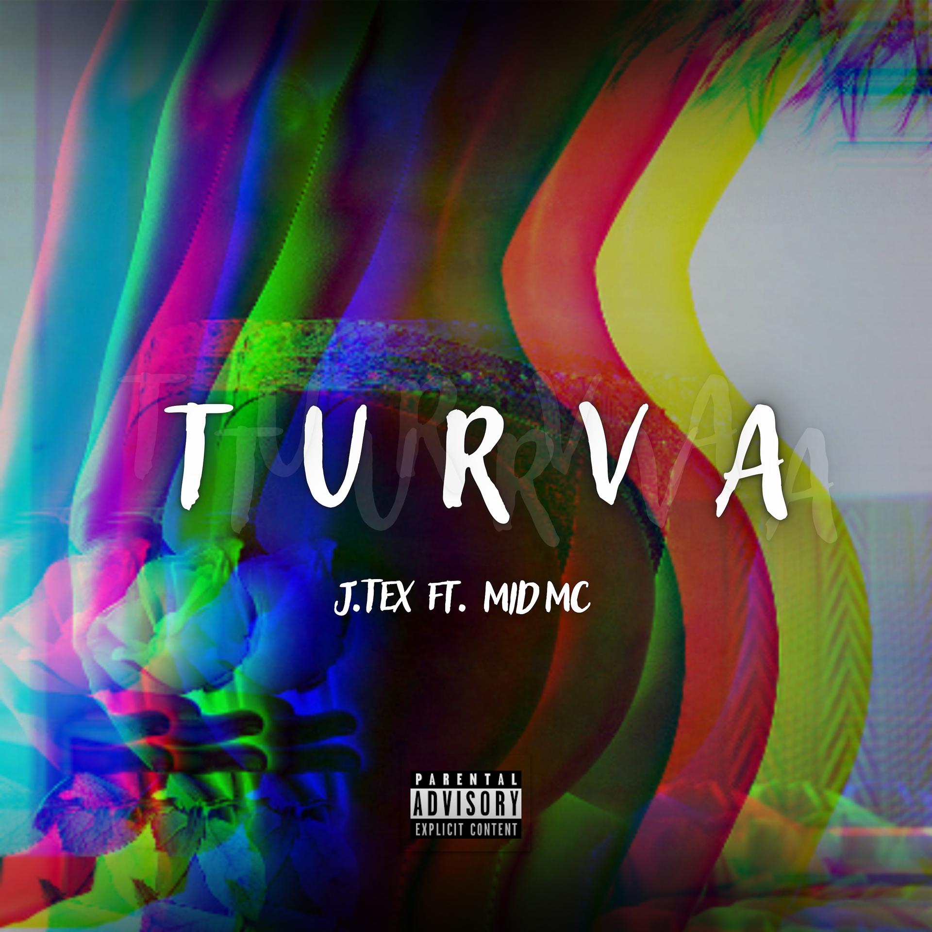 Постер альбома Turva