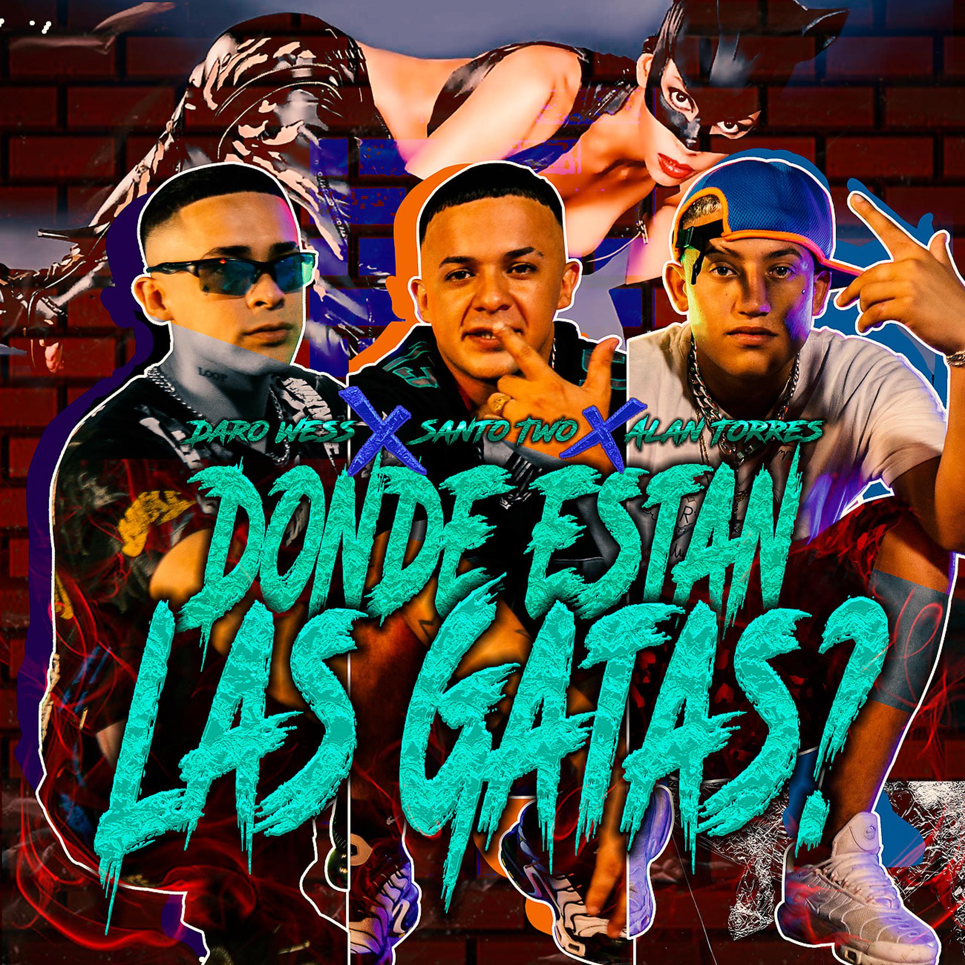 Постер альбома Donde Están Las Gatas?