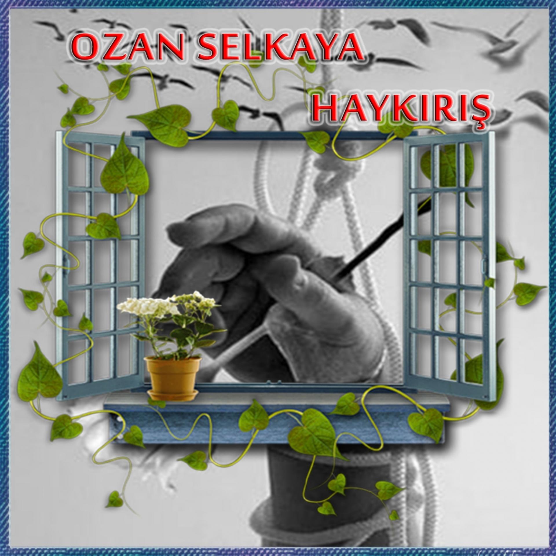 Постер альбома Haykırış