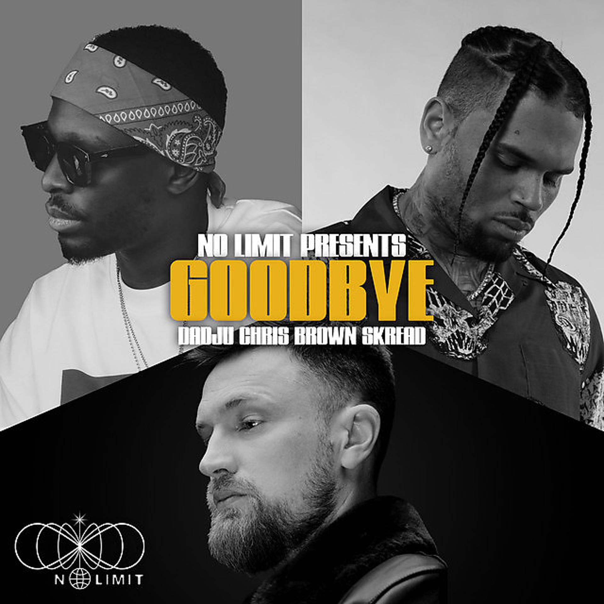 Постер альбома Goodbye (with Dadju, Chris Brown & Skread)