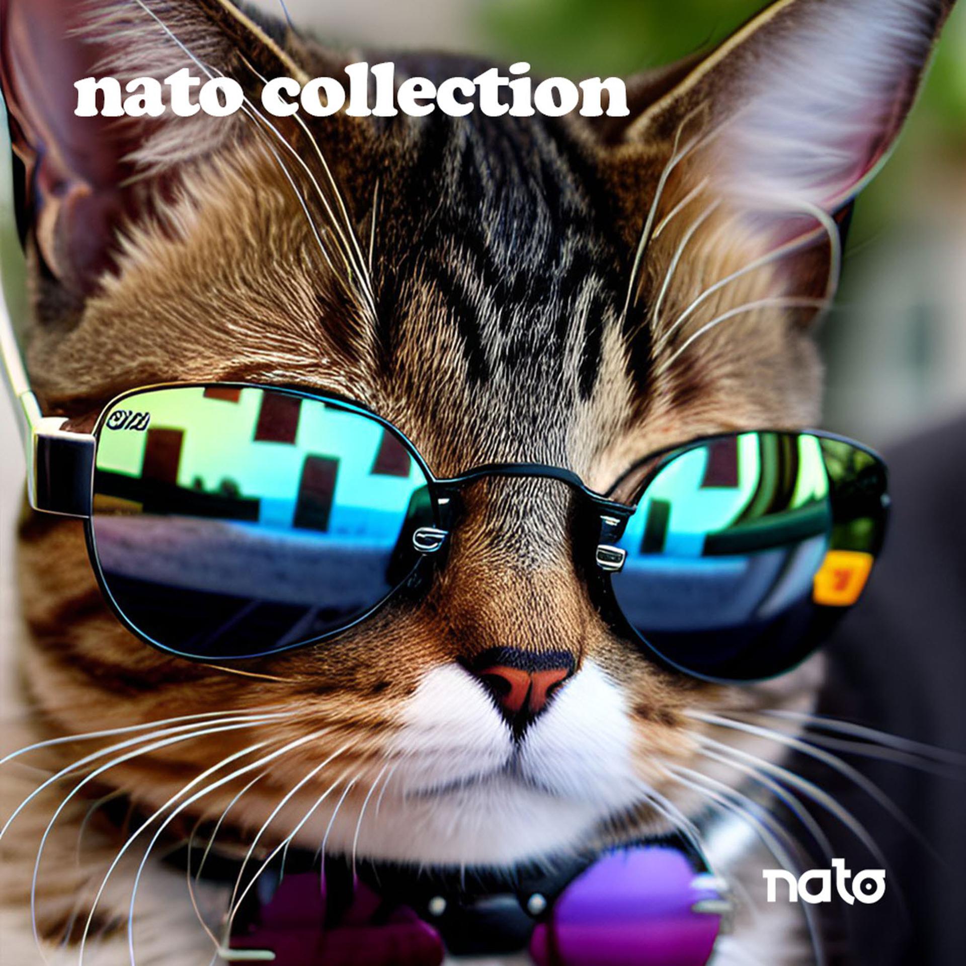 Постер альбома Nato Collection