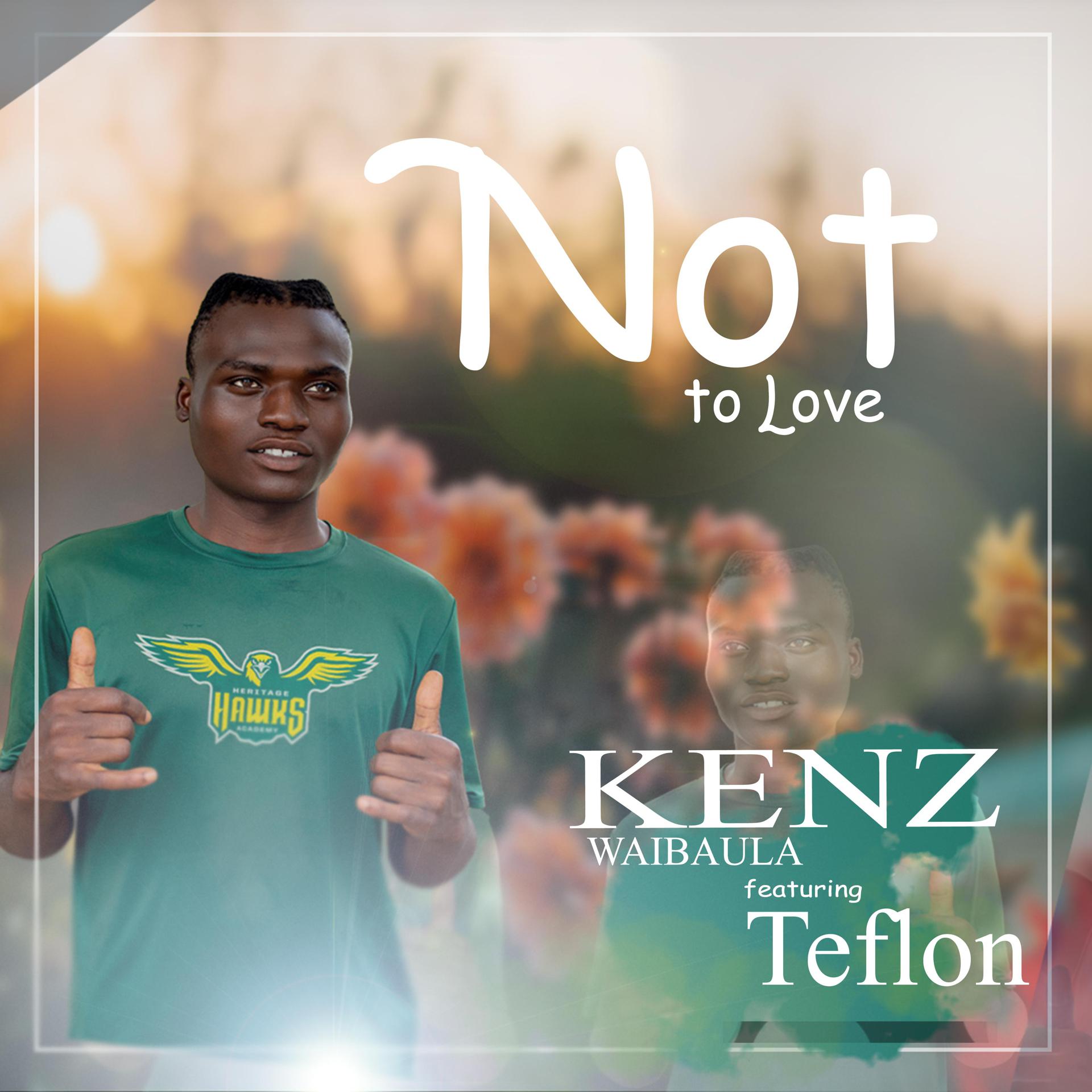 Постер альбома Not To Love (feat. Teflon)