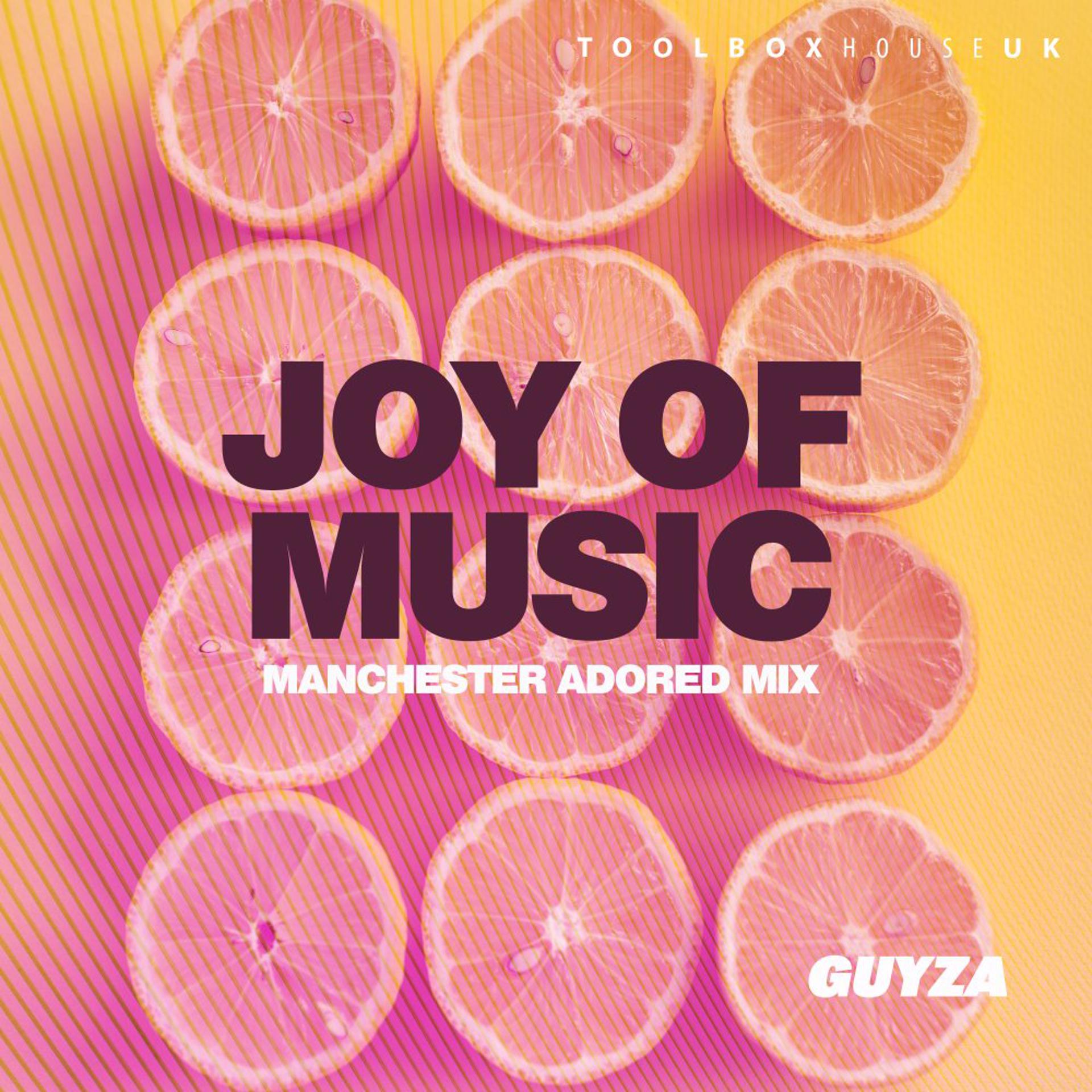 Постер альбома Joy Of Music