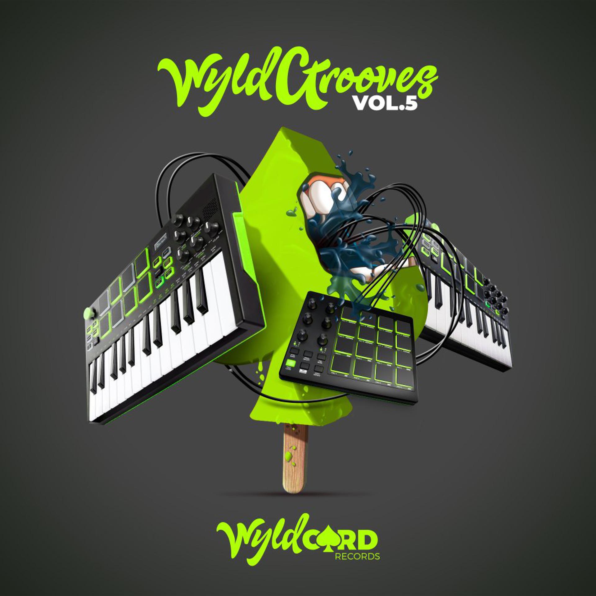 Постер альбома WyldGrooves Vol.5