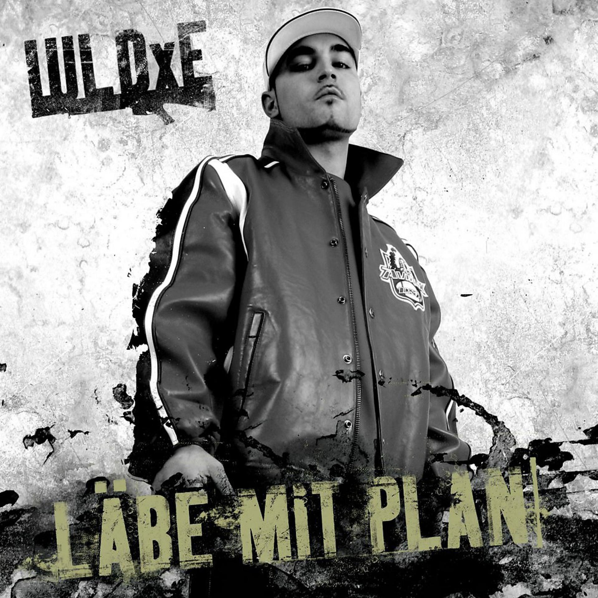 Постер альбома Läbe mit Plan