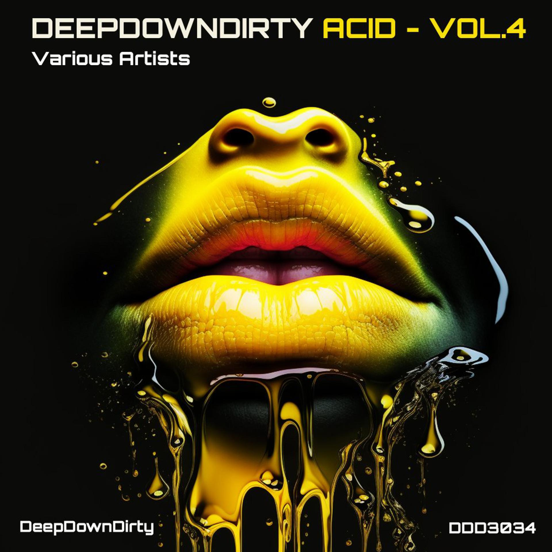 Постер альбома DeepDownDirty Acid, Vol. 4