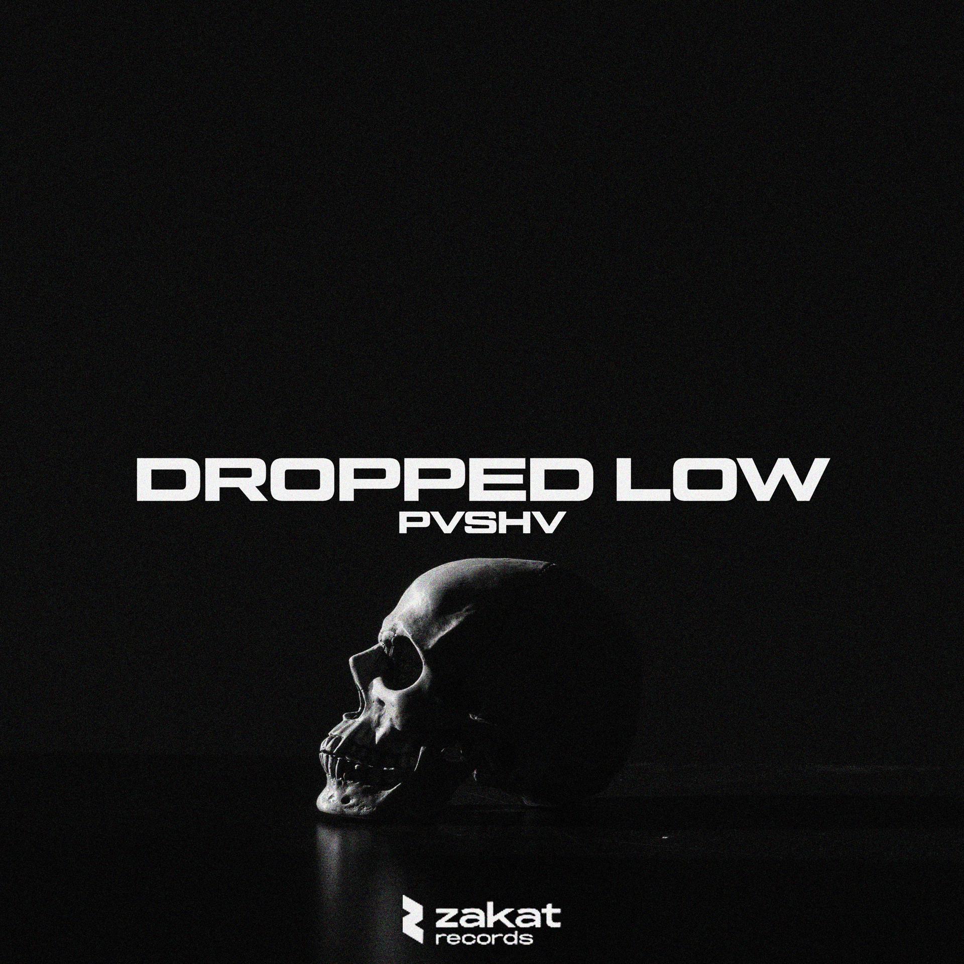 Постер альбома DROPPED LOW