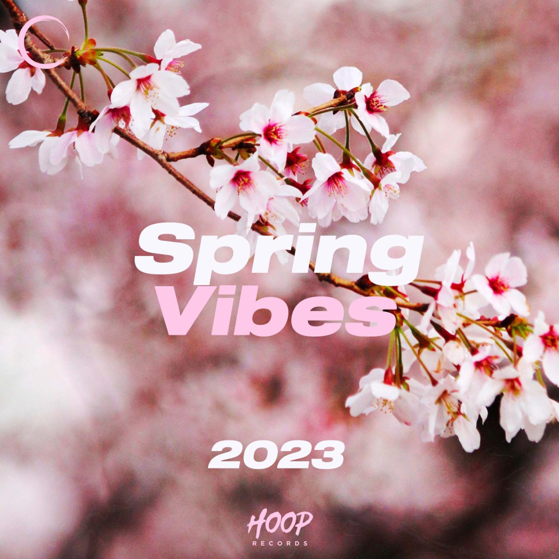 Постер альбома Весенние вибрации 2023: Самые эмоциональные звуки от Hoop Records