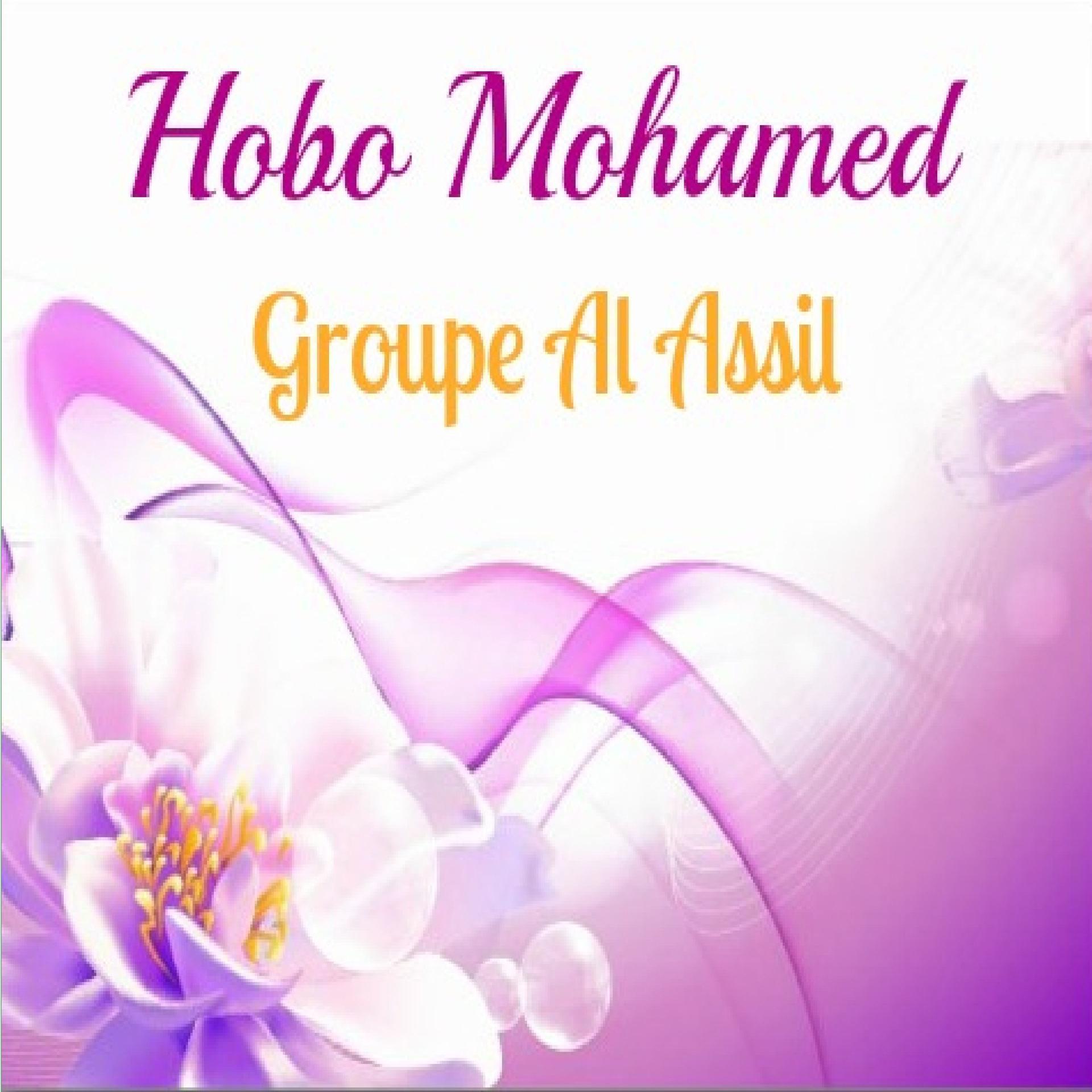 Постер альбома Hobo Mohamed