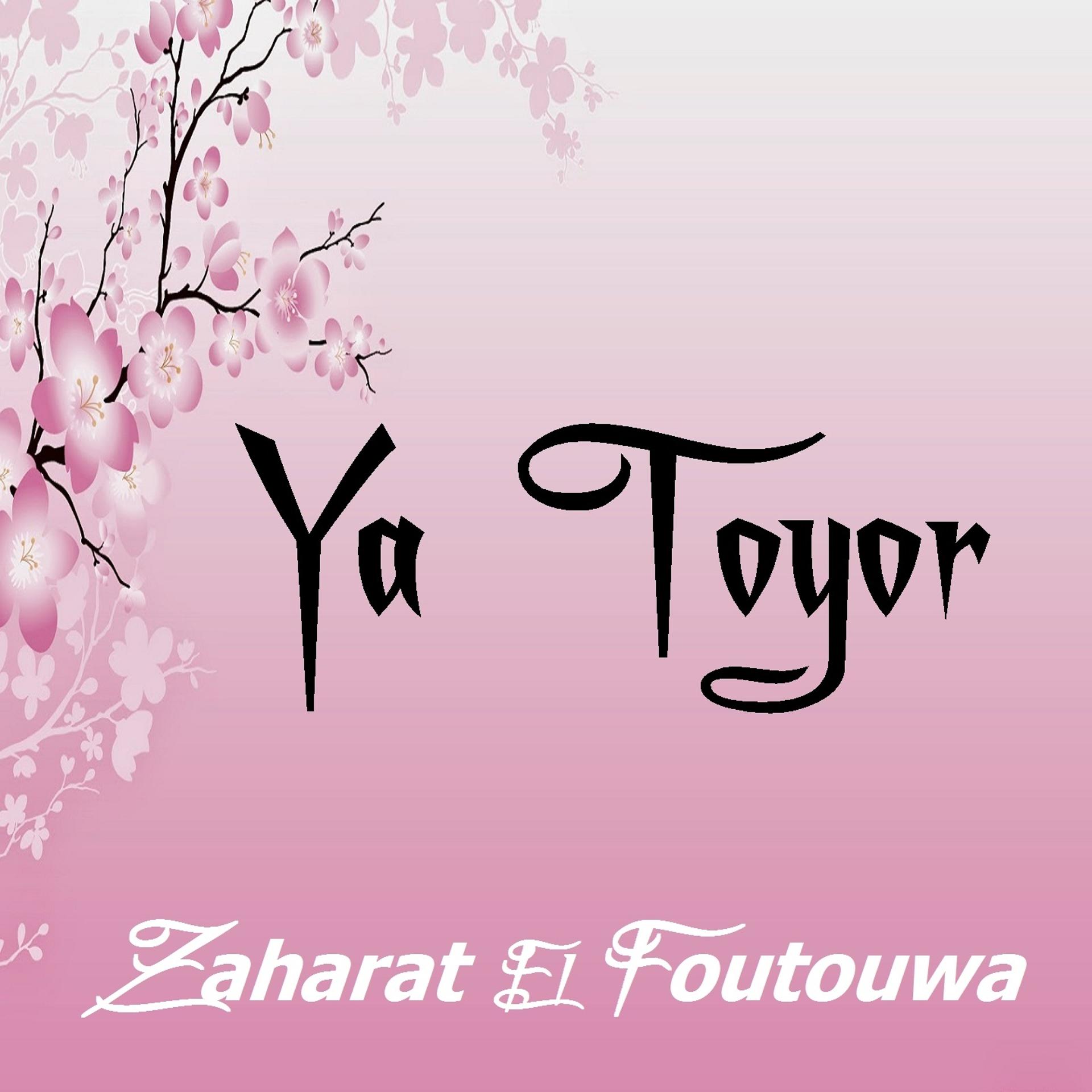 Постер альбома Ya Toyor