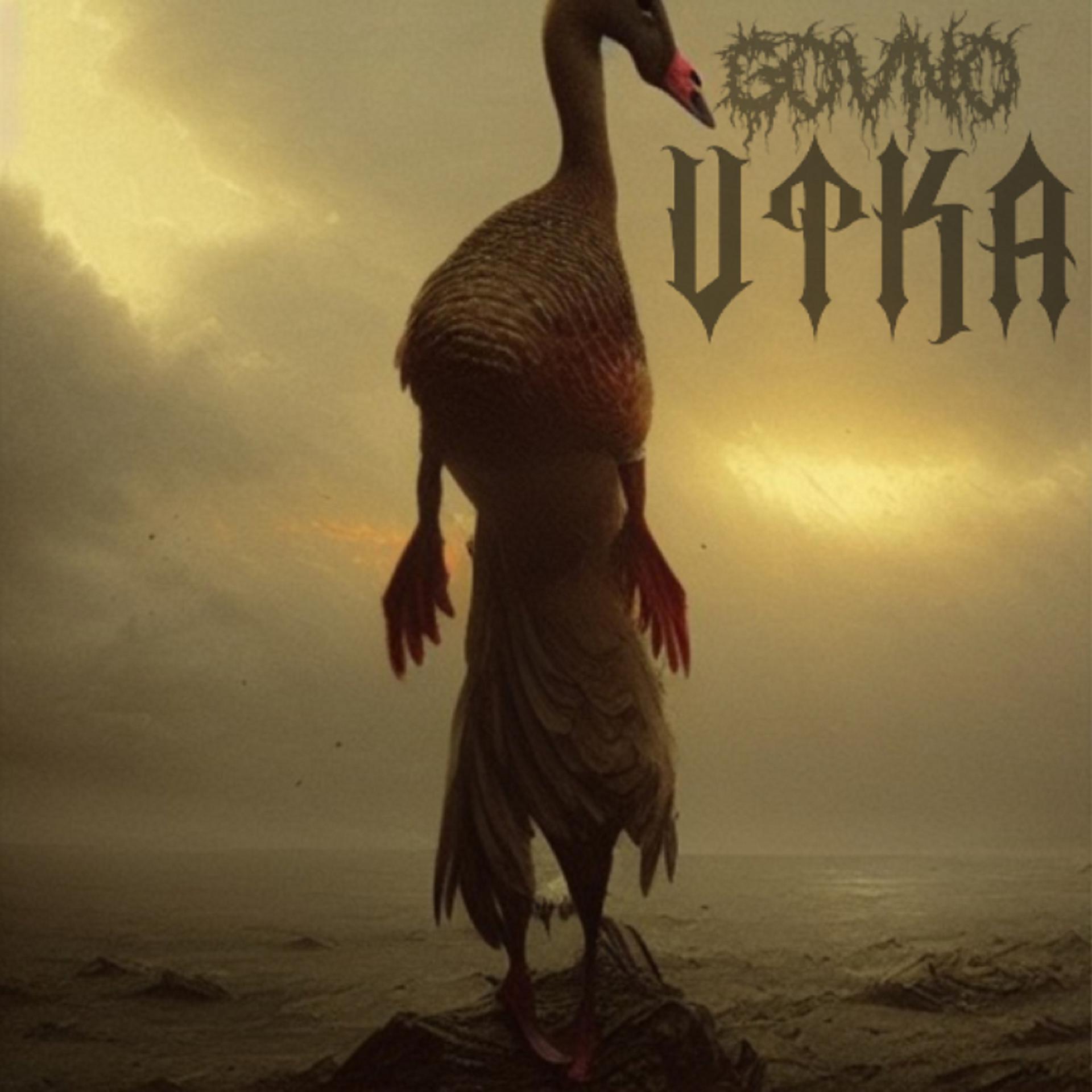 Постер альбома Utka