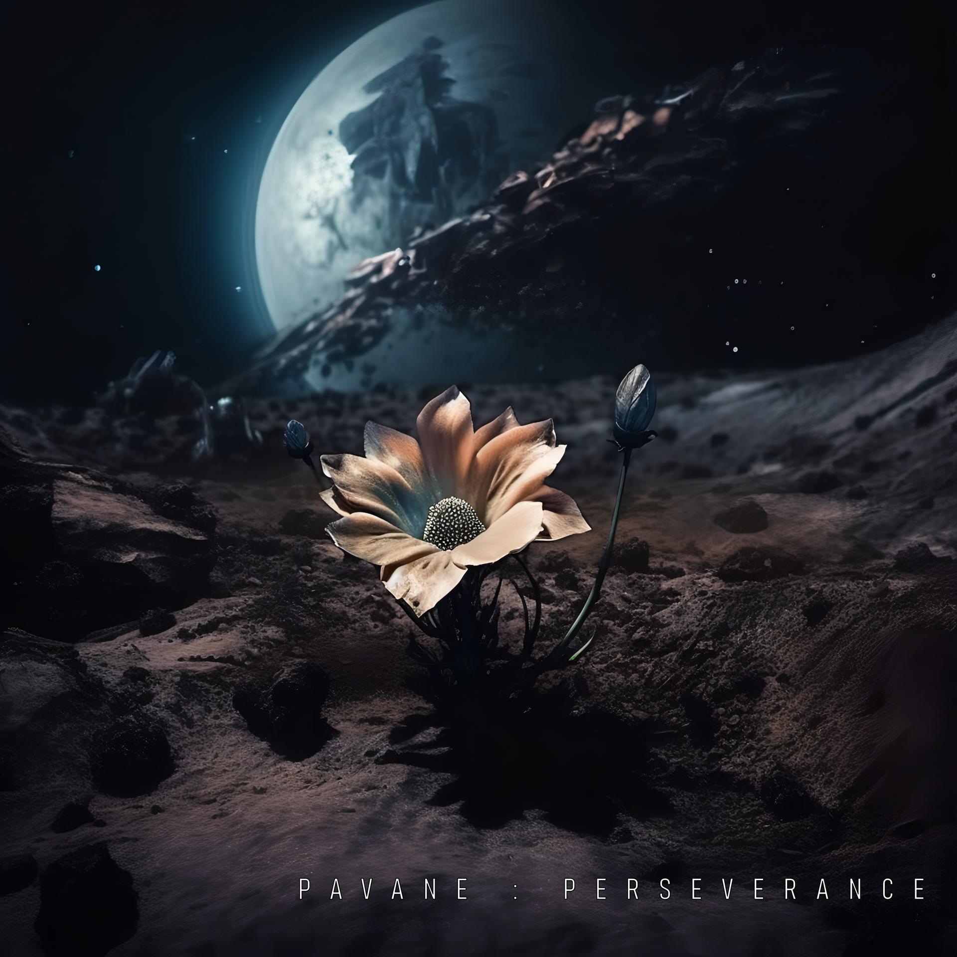 Постер альбома Pavane: Perseverance
