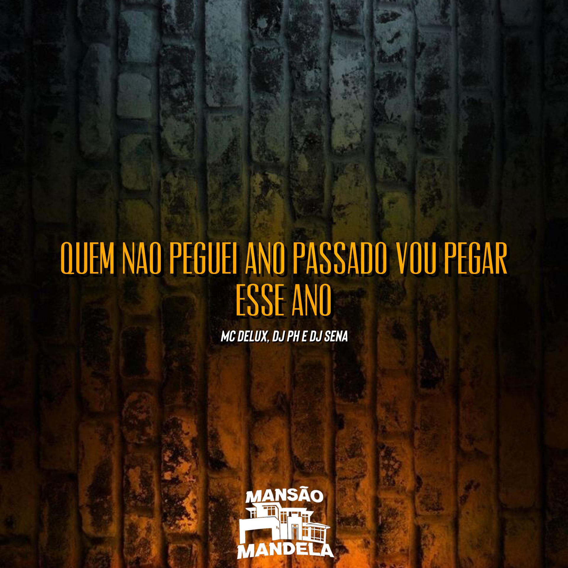 Постер альбома Quem Nao Peguei Ano Passado Vou Pegar Esse Ano
