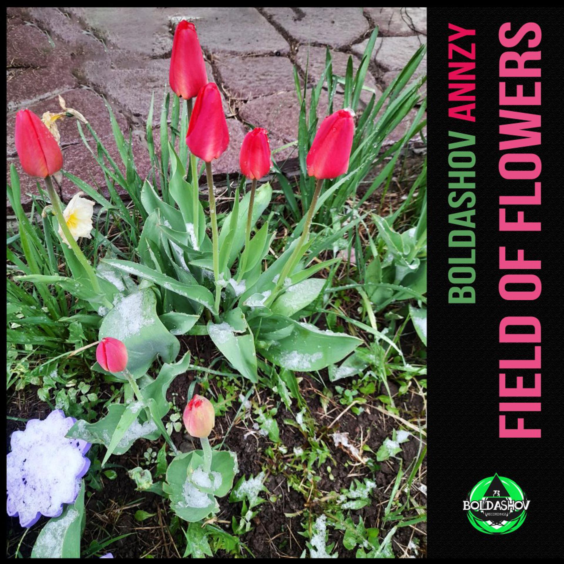 Постер альбома Field of Flowers