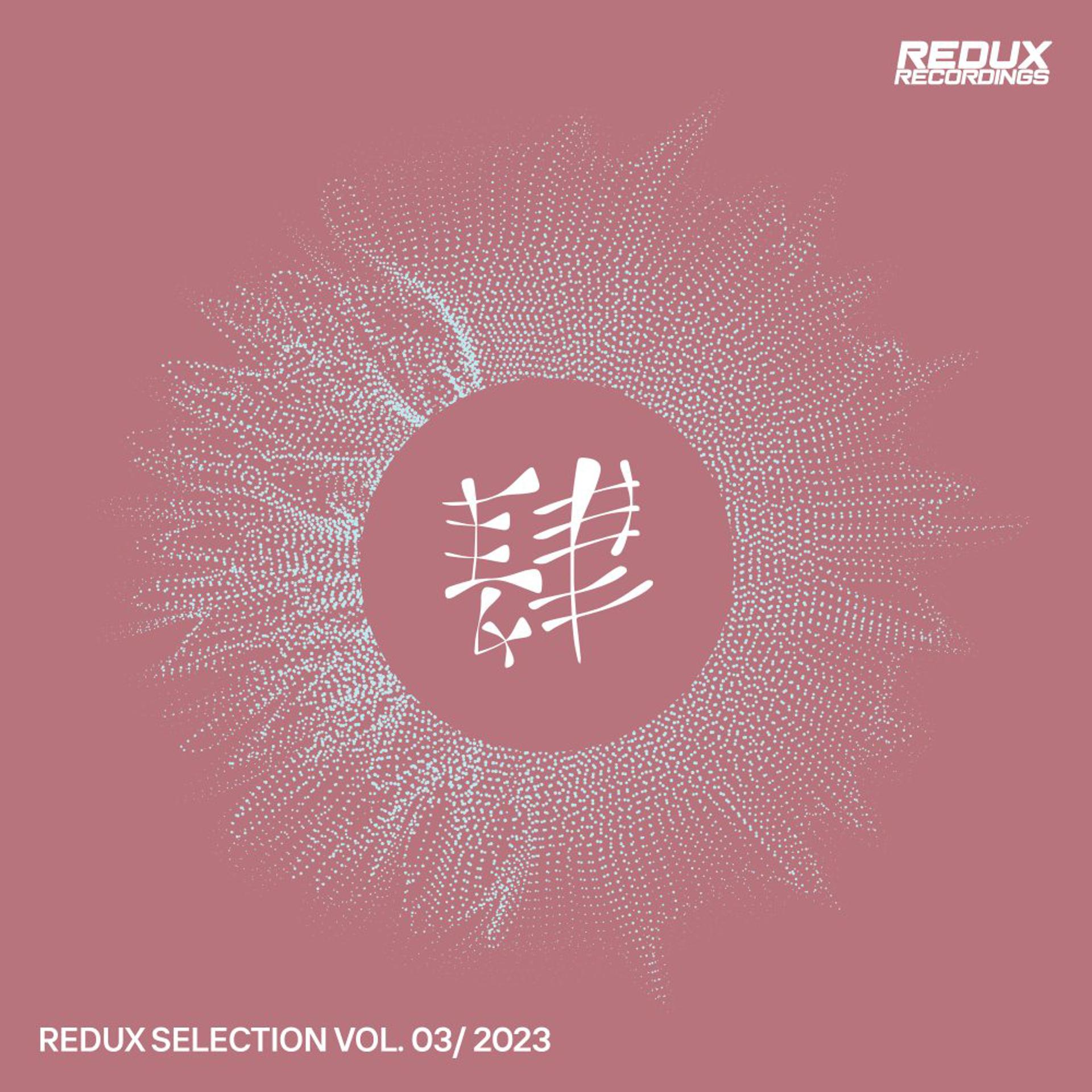 Постер альбома Redux Selection, Vol. 3 / 2023