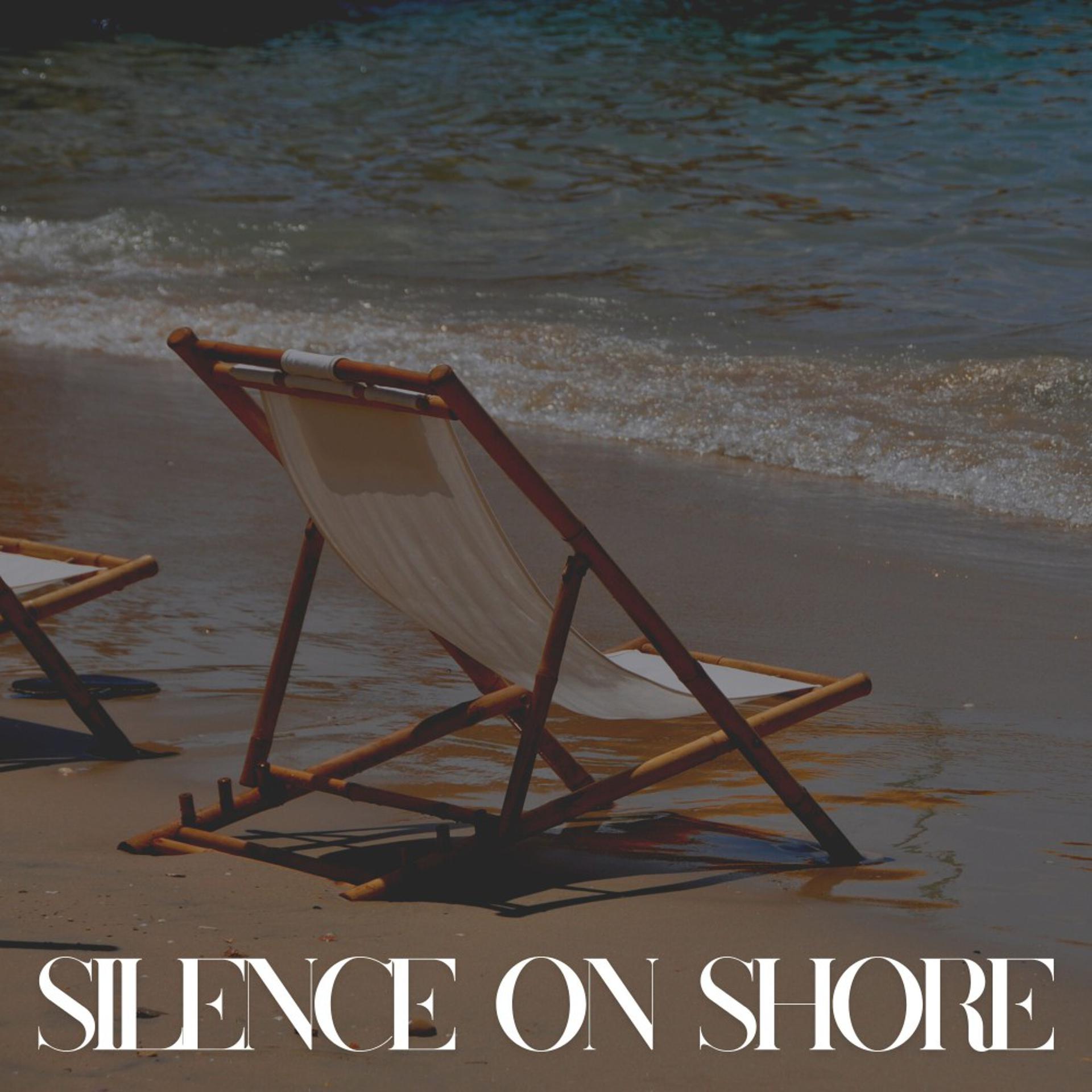 Постер альбома Silence on Shore