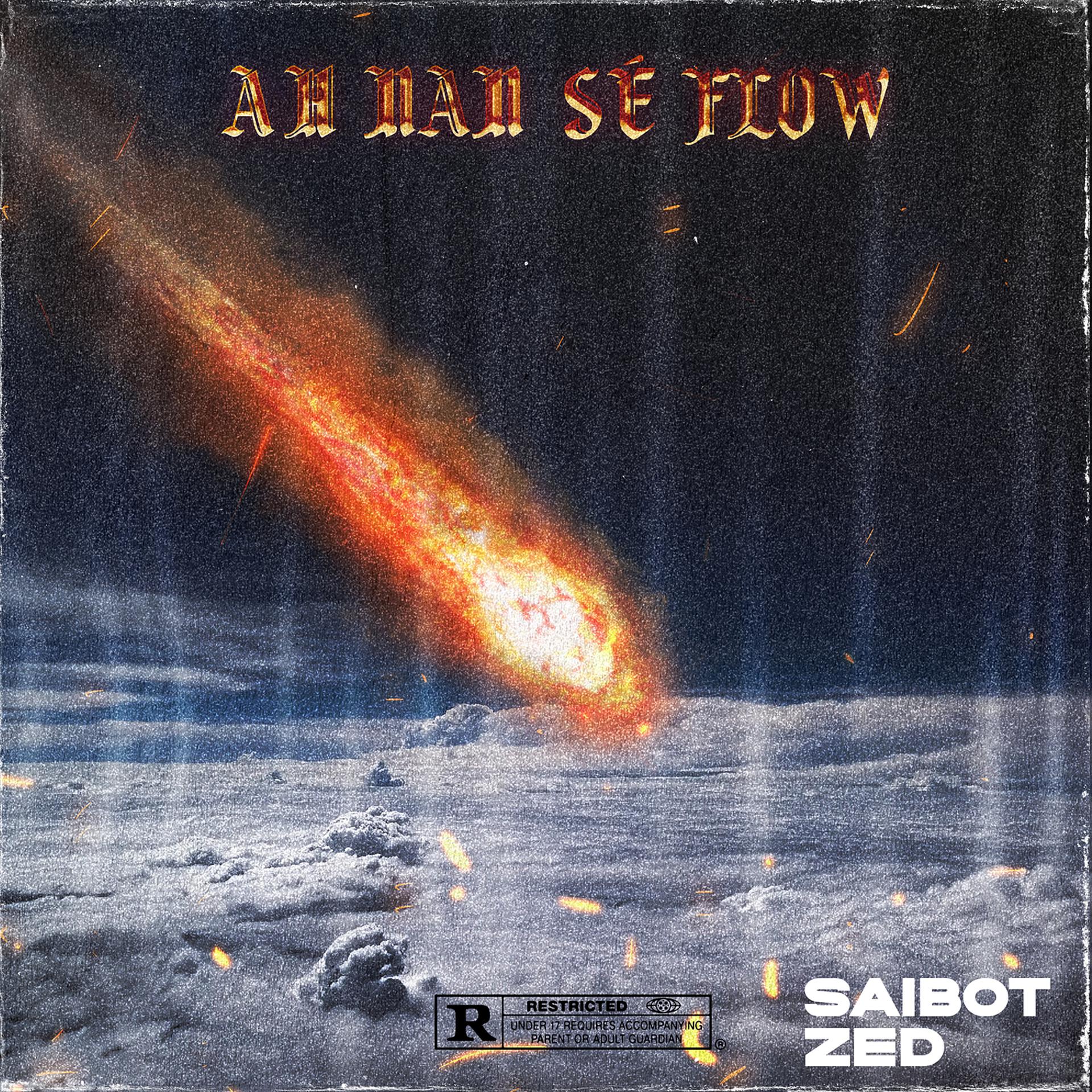 Постер альбома Ah Nan Sé Flow