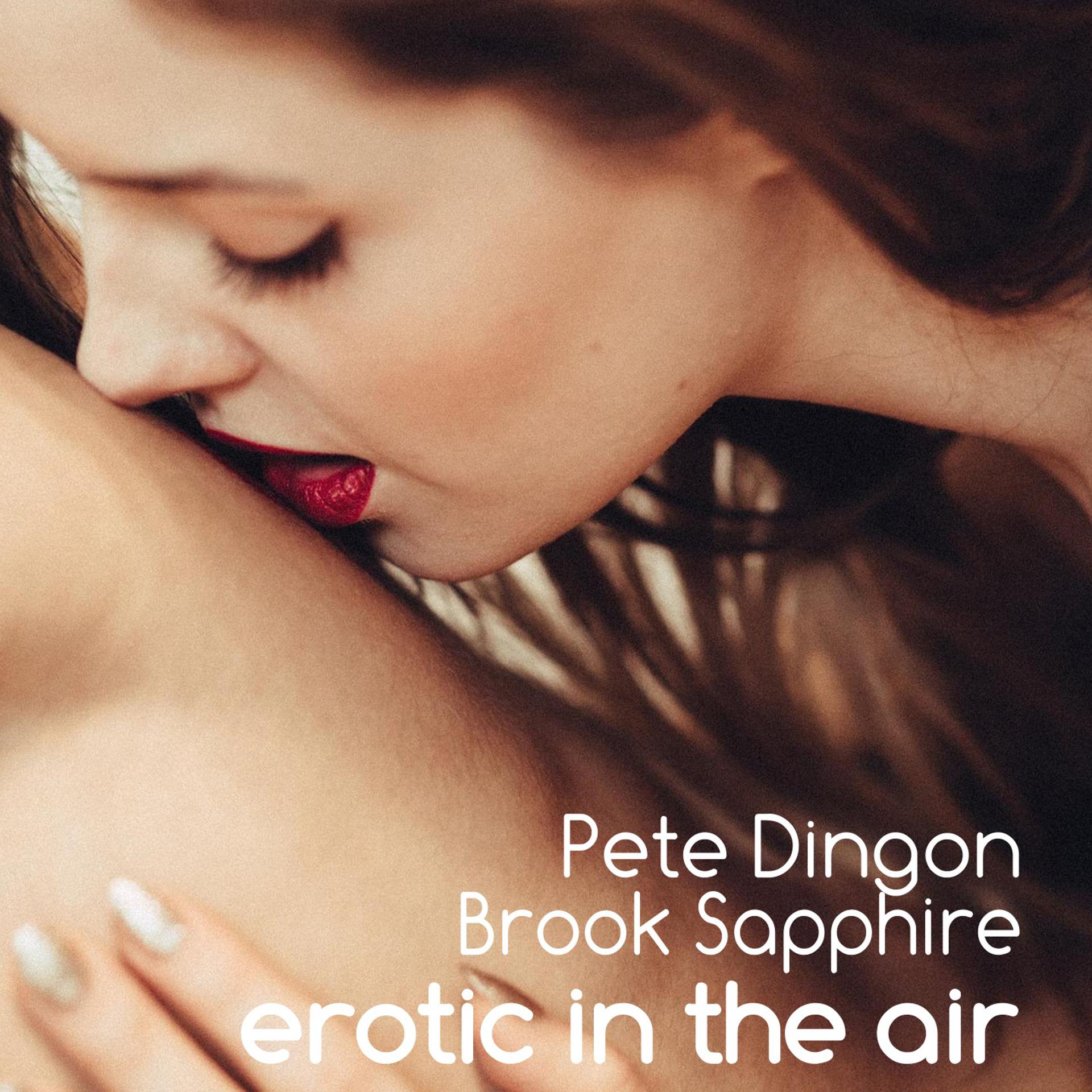 Постер альбома Erotic in the Air