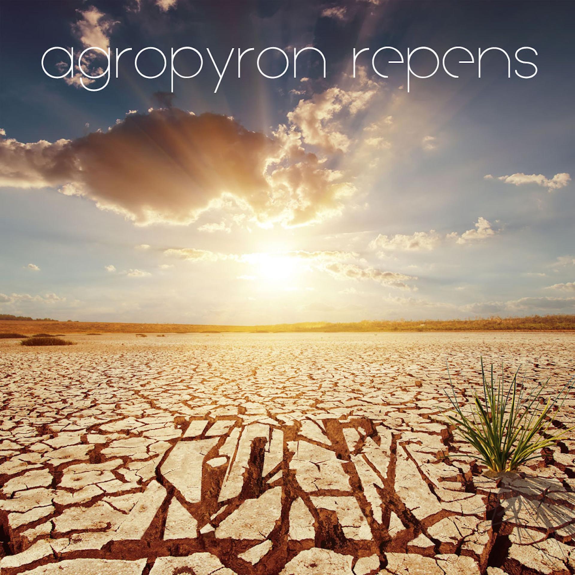 Постер альбома Agropyron Repens