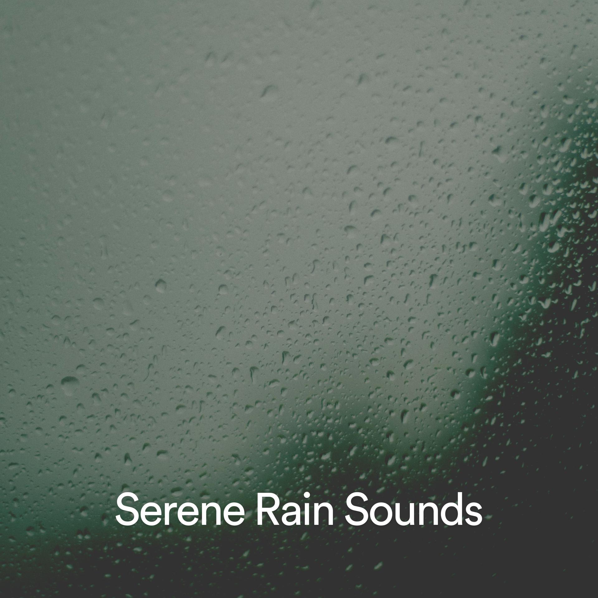Постер альбома Serene Rain Sounds