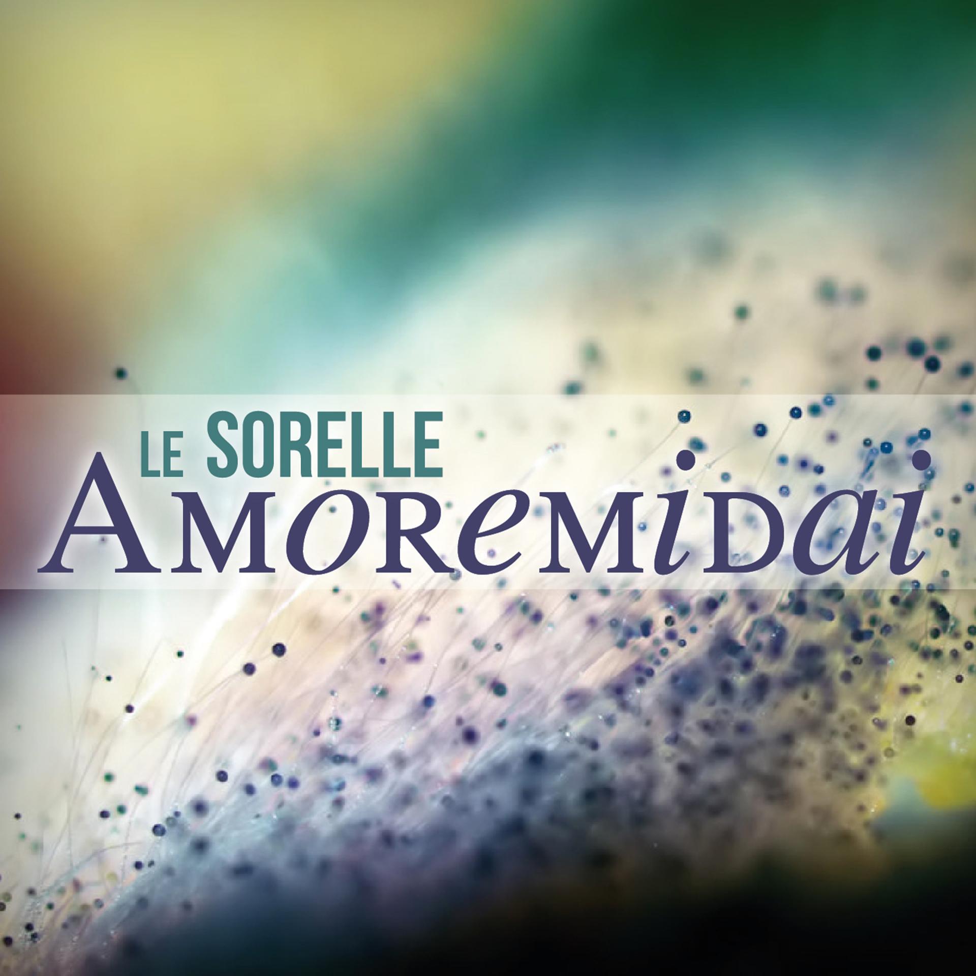 Постер альбома Amoremidai