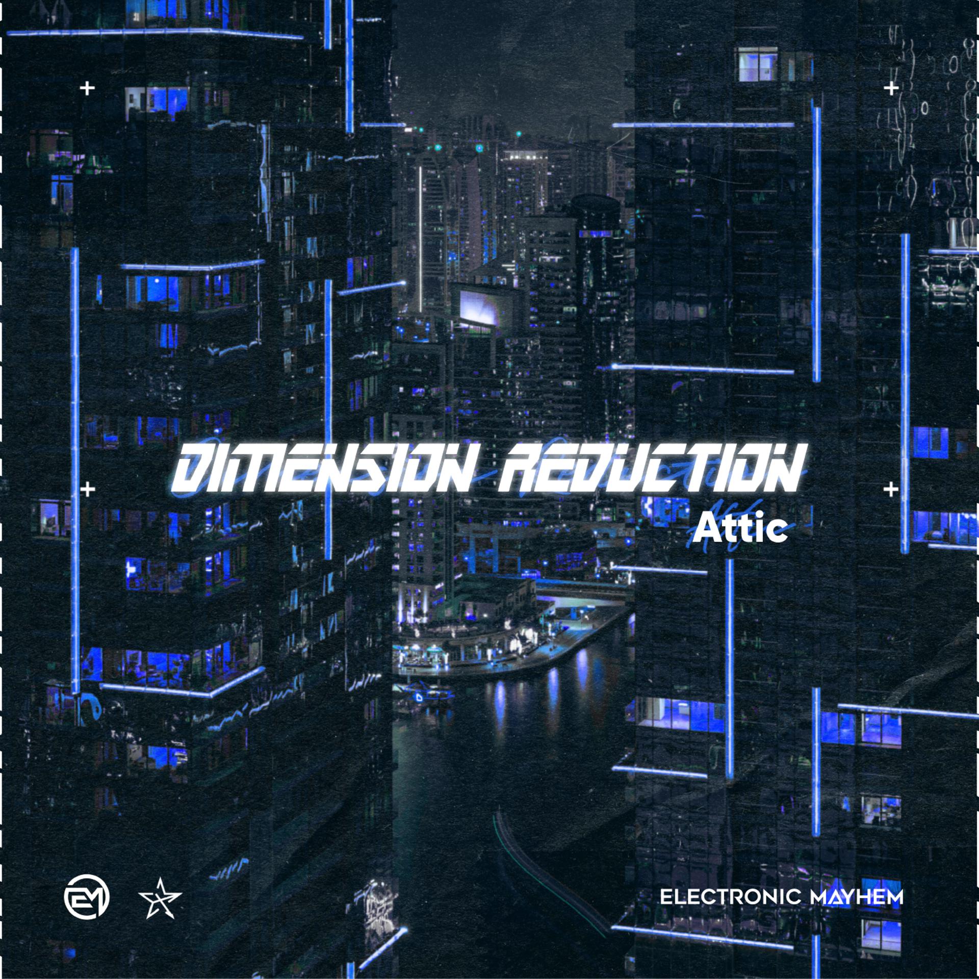 Постер альбома Dimension Reduction