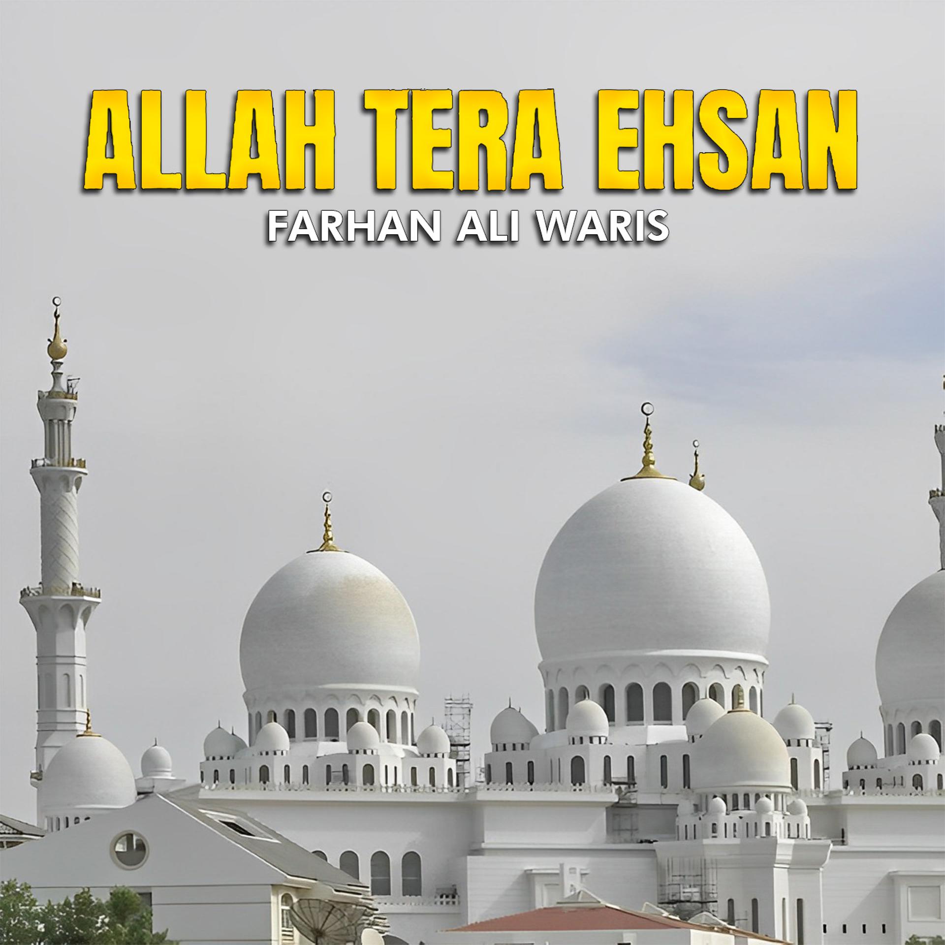 Постер альбома Allah Tera Ehsan
